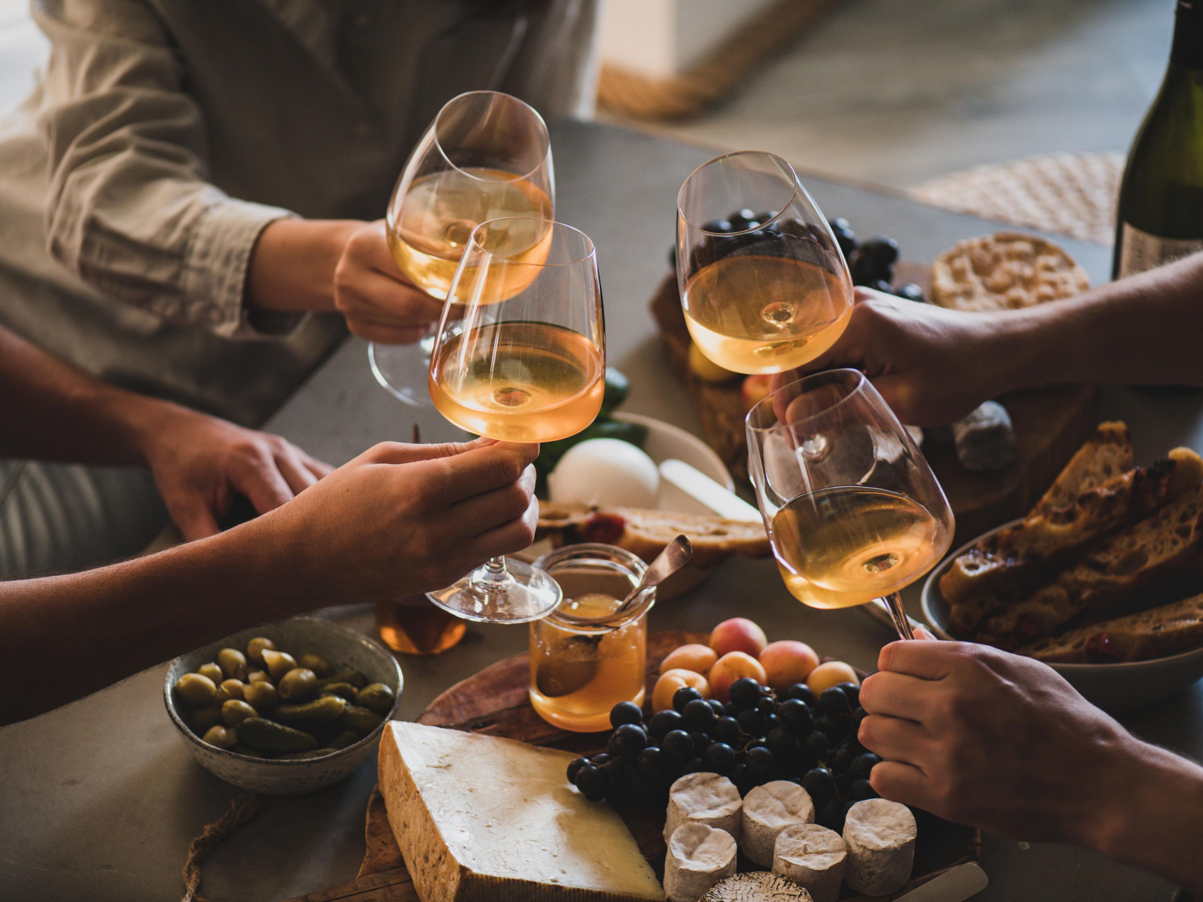 People toasting wine together