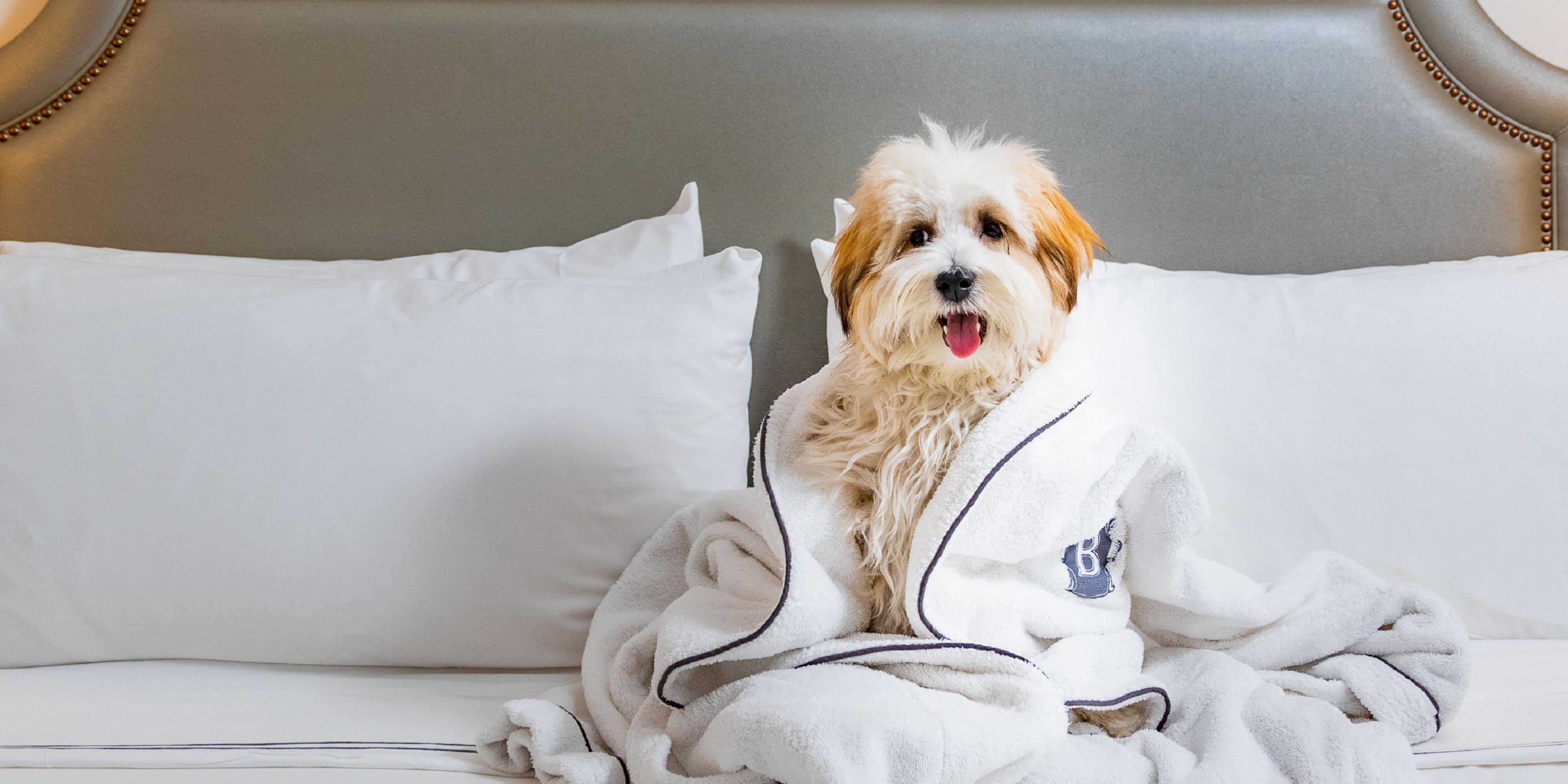 At InterContinental New York Barclay, we welcome four-legged guests with open arms. Our pet-friendly accommodations ensure your furry companions enjoy a comfortable stay alongside you in Midtown Manhattan. With nearby parks and walking paths, it’s easy to explore the city together.