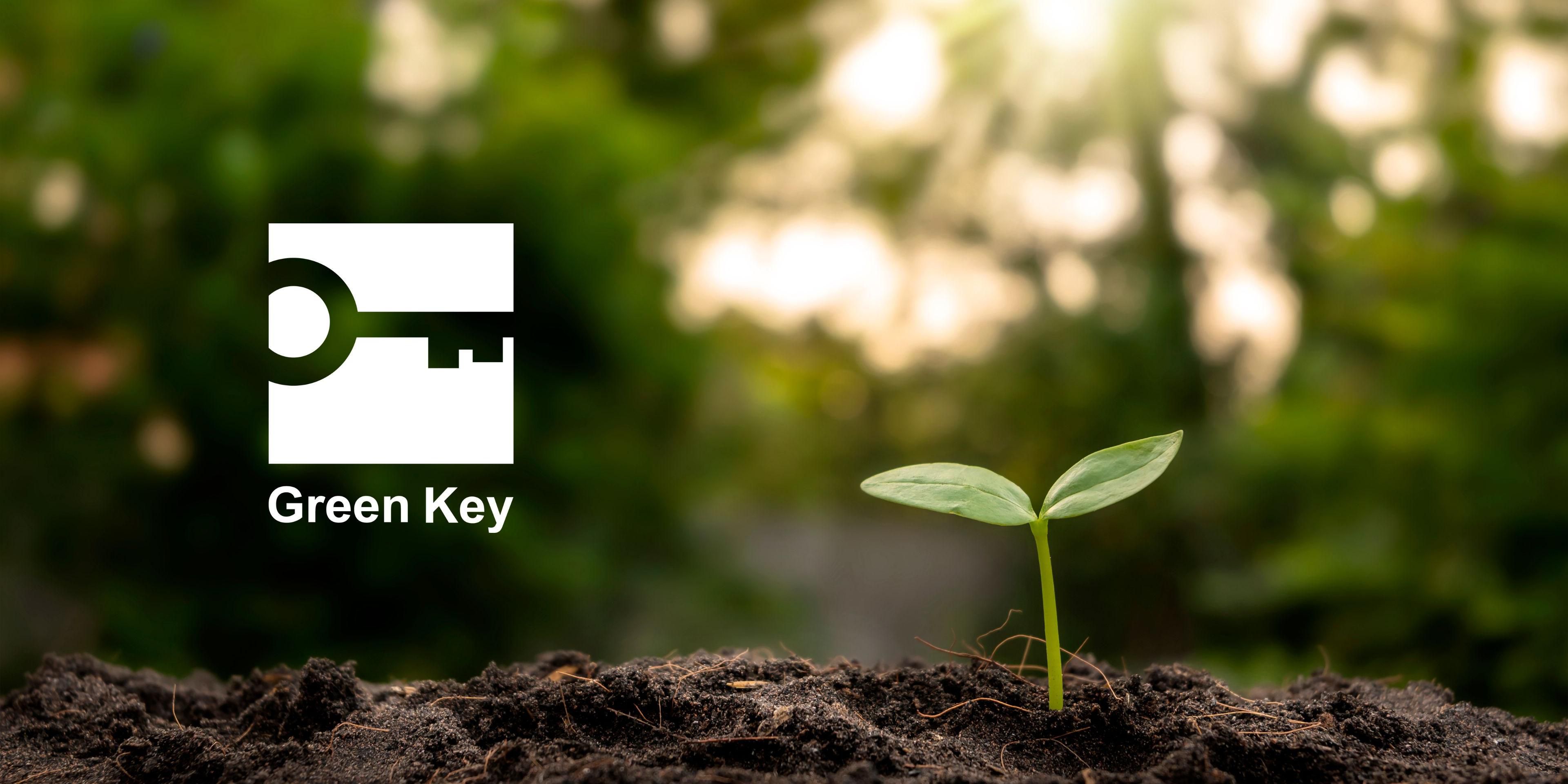 Sustainability is a priority at InterContinental Porto – Palácio das Cardosas. Proudly Green Key certified, we embrace eco-friendly practices, reduce single-use plastics, and prioritize local ingredients, offering a luxurious stay with a strong commitment to the environment.