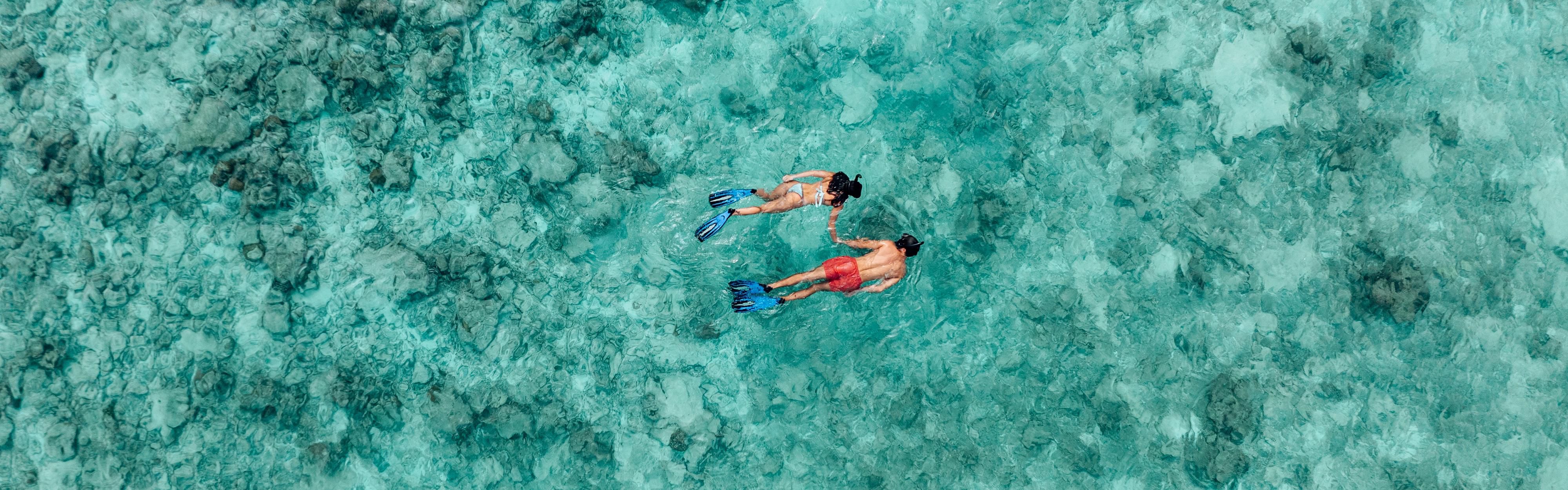 House reef snorkelling