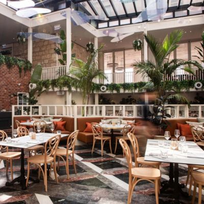 The Atrium: Light-filled lunches in sunlit sophistication
