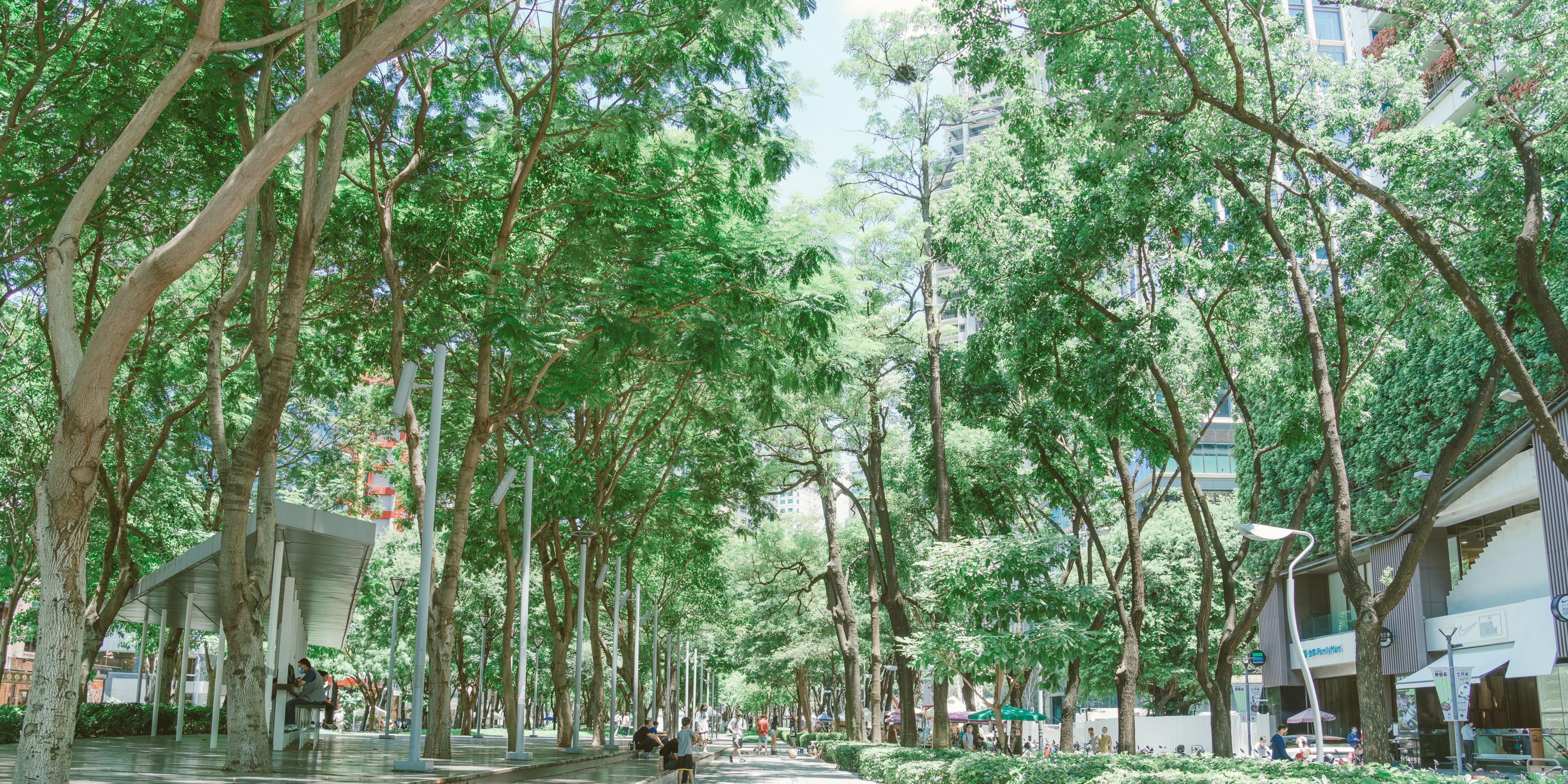 Located in Taichung's West District, this street blends nature, art, fashion, and cuisine amidst lush greenery. Spanning 3.6 km from the National Museum of Natural Science to the National Taiwan Museum of Fine Arts, its fluid layout fosters diverse styles and unique alley cultures on Calligraphy Greenway.