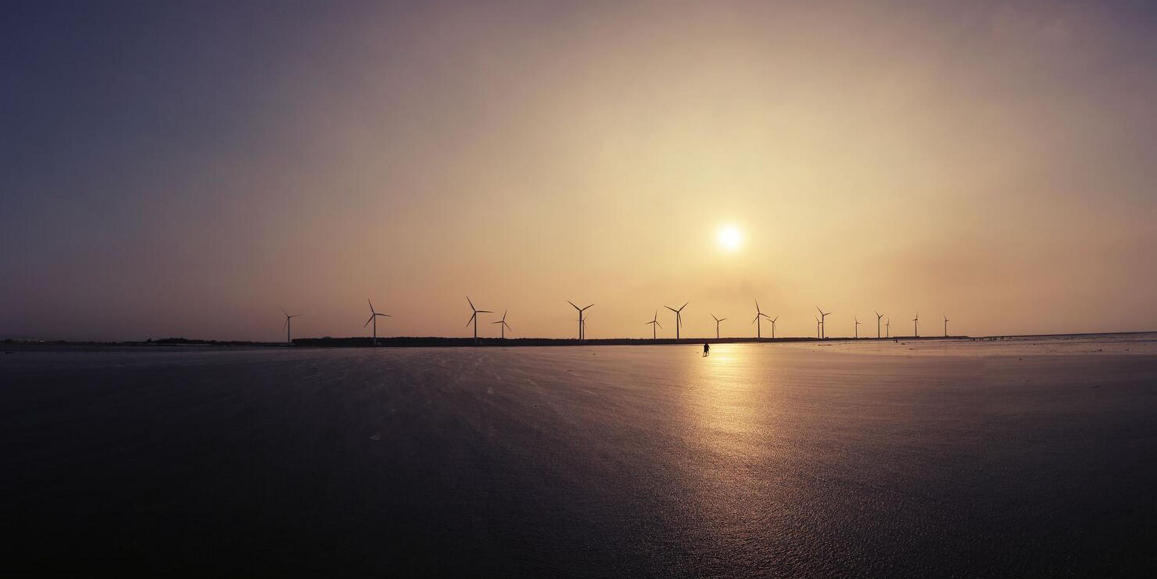 Located on Taiwan's west coast in QingShui District, Taichung City, the Gaomei Wetlands are an ecological preservation area. They form a coastal wetland at the Dajia River estuary, shaped by freshwater and tidal changes. Once a seaside resort, sediment from the Dajia River transformed it into today's landscape of sandbars and tidal flats.