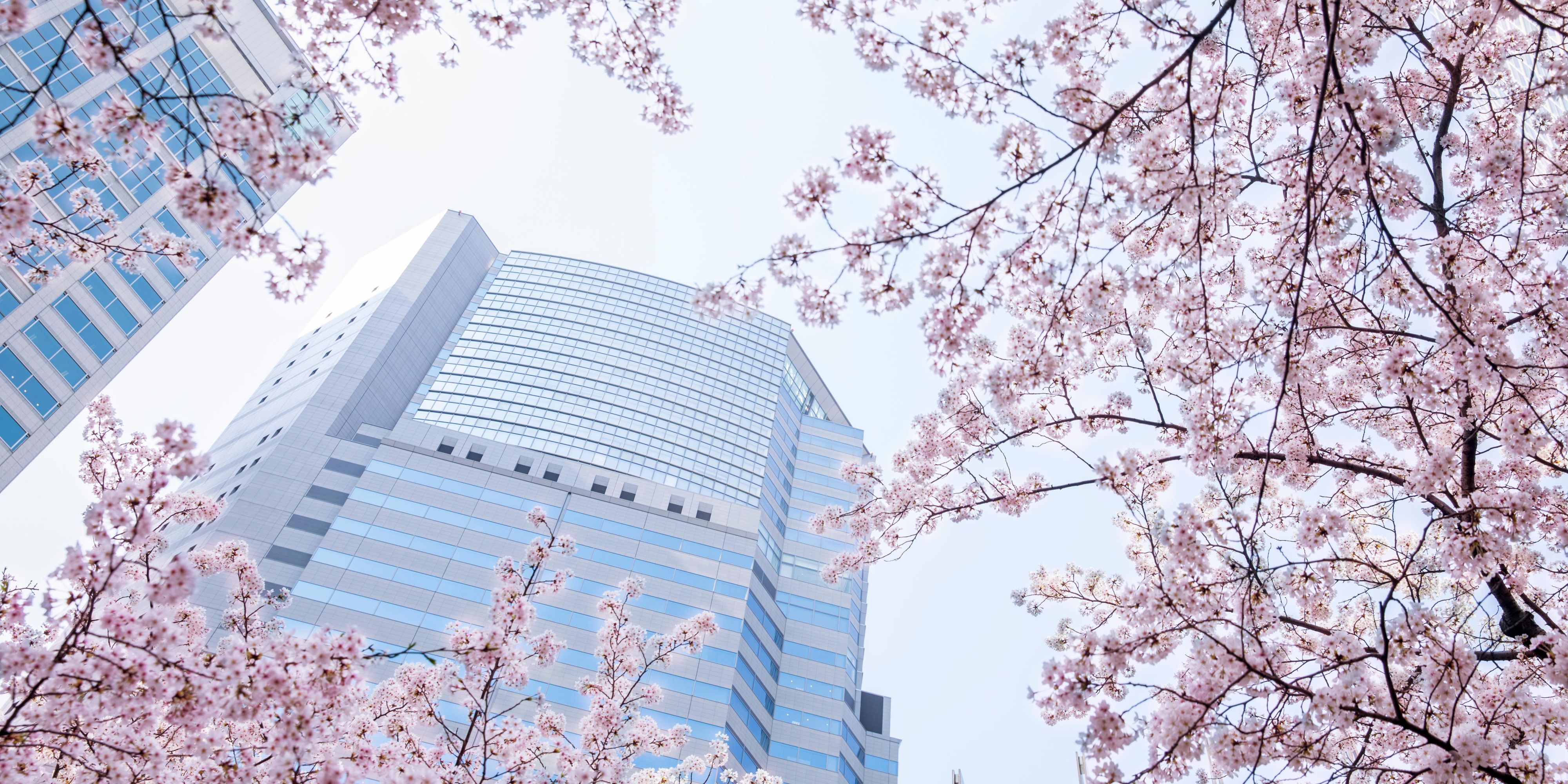 Welcome to The Strings by InterContinental Tokyo