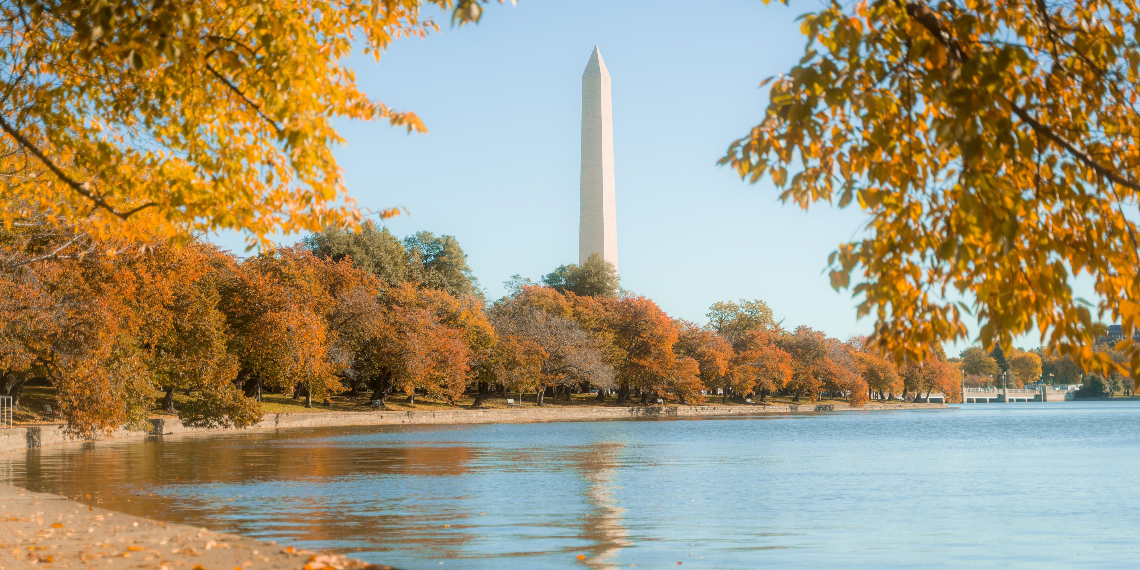 Enjoy the view of Washington Monument in Washington D.C.