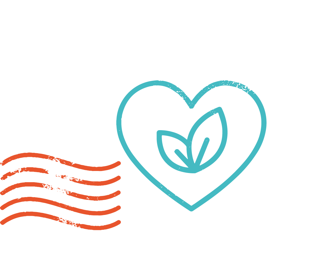 vignette collection and world literacy foundation logos