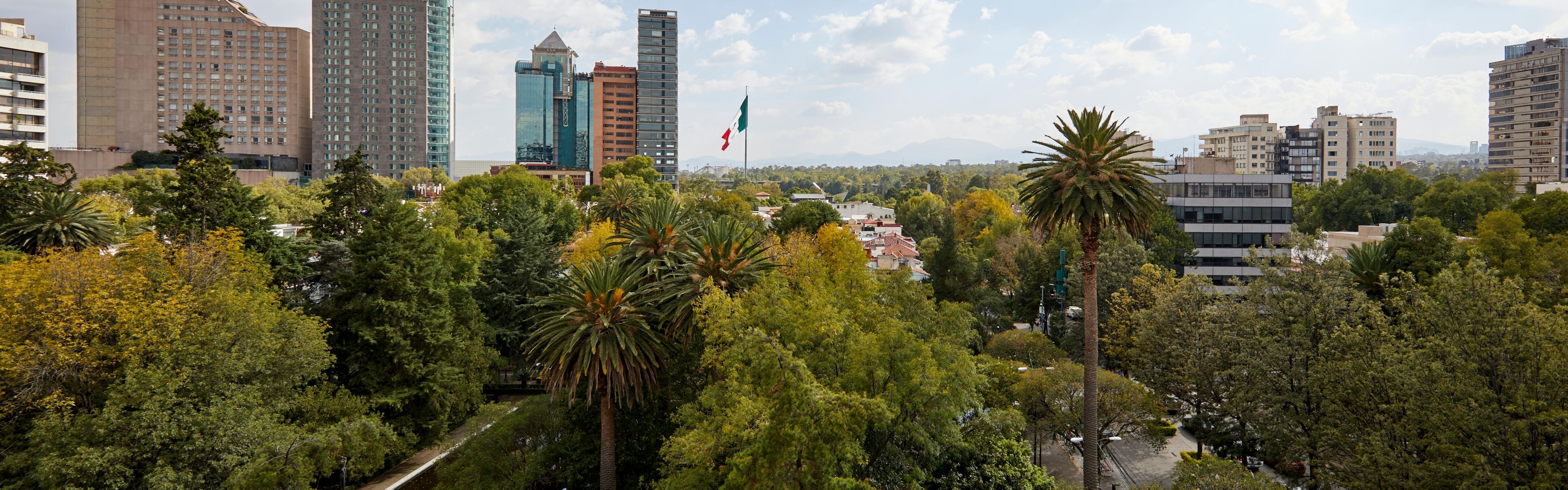 Urban views and green spaces from Kimpton El Castelar Polanco