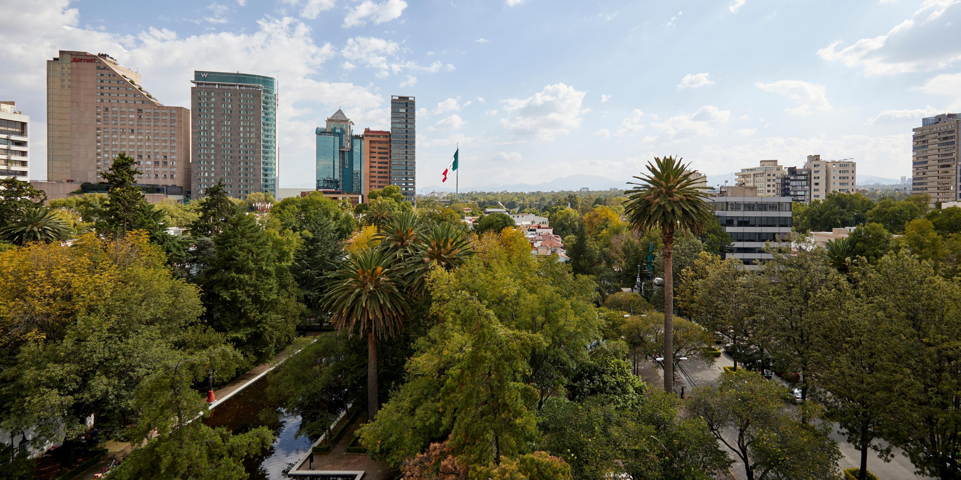 Urban views and green spaces from Kimpton El Castelar Polanco