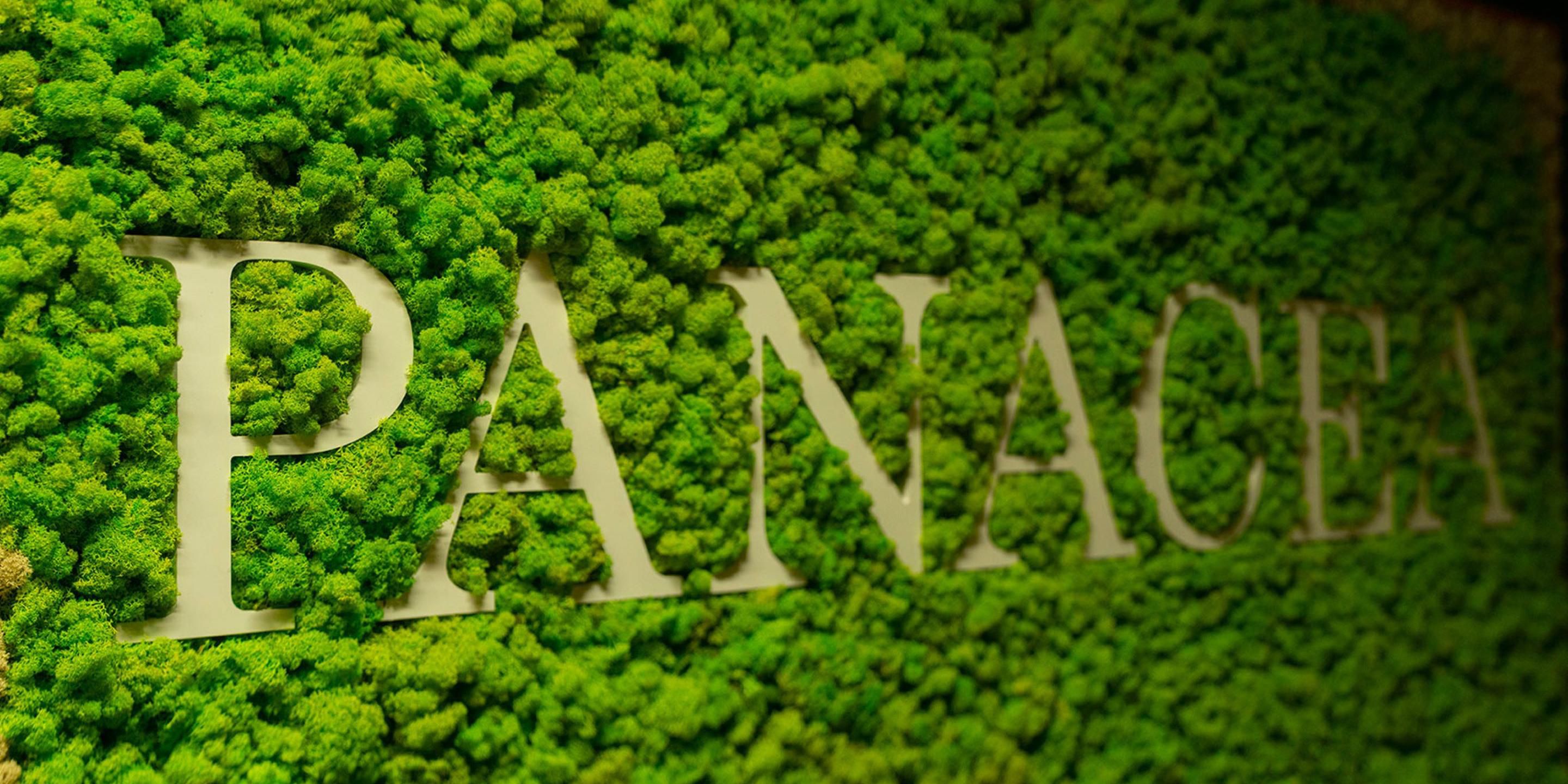 Ready for a little self-care? Immerse yourself in a holistic wellness experience at the Schofield, where we prioritize your well-being as an integral part of your stay. We've partnered with Panacea Wellness for in-room services, including IV Therapy, Massage Therapy, and more.