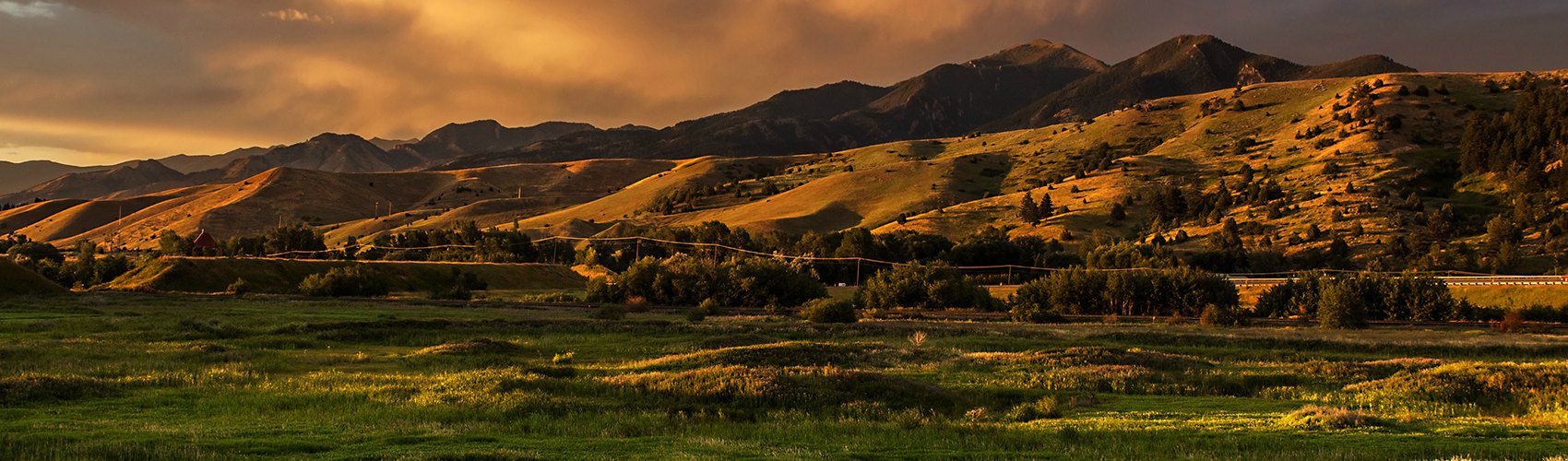 view of bozeman montana hills at dusk with foreground of green prairie