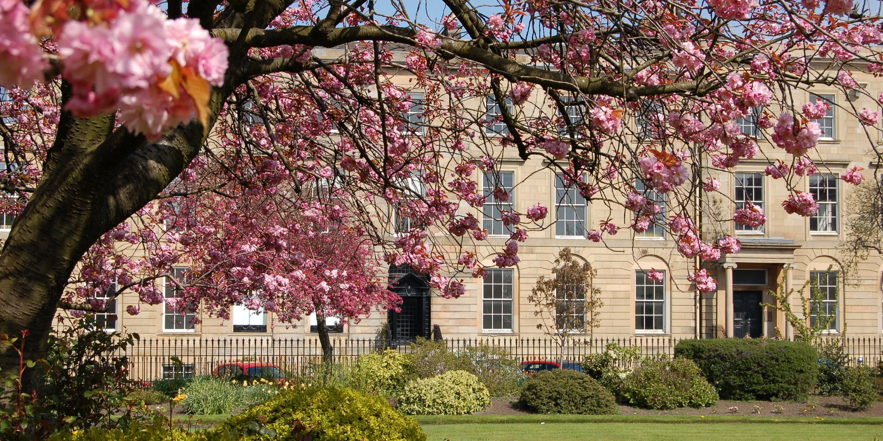 Feel the rich heritage and historic prestige as you step inside our iconic Glaswegian hotel. Steeped in tradition, this architectural gem showcases the grandeur of Glasgow’s past while offering modern luxury and comfort. Every corner tells a story, with a unique blend of timeless elegance and contemporary sophistication.