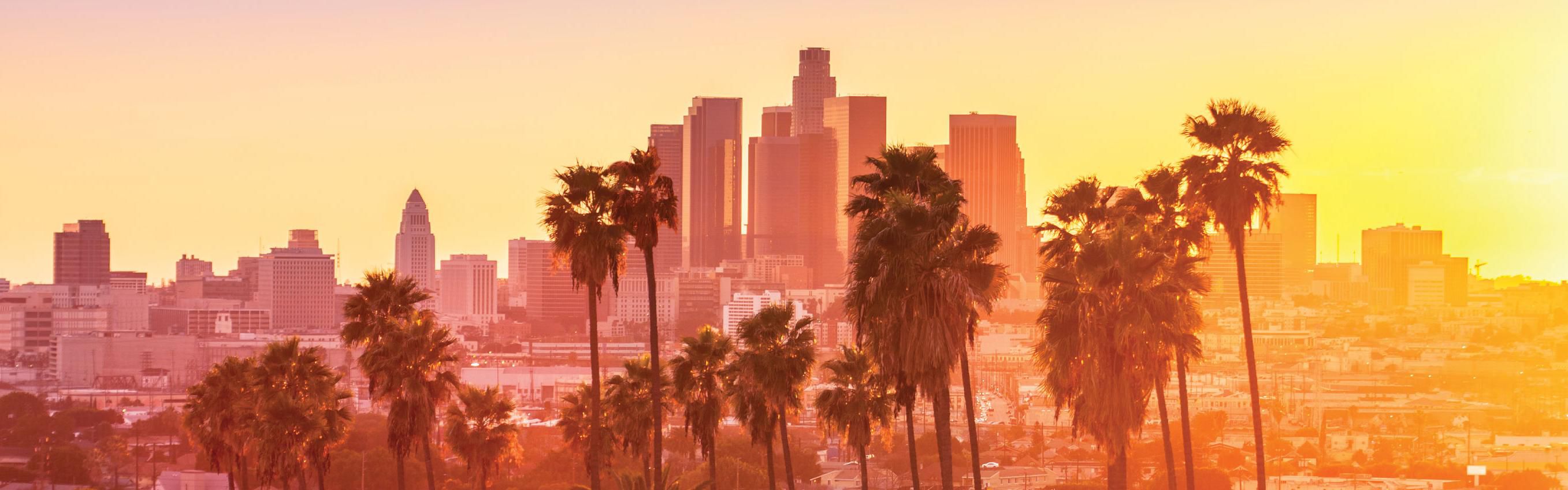 Los Angeles Skyline & Palm Trees Sunset