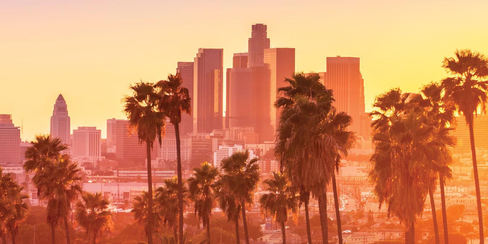 Los Angeles Skyline & Palm Trees Sunset