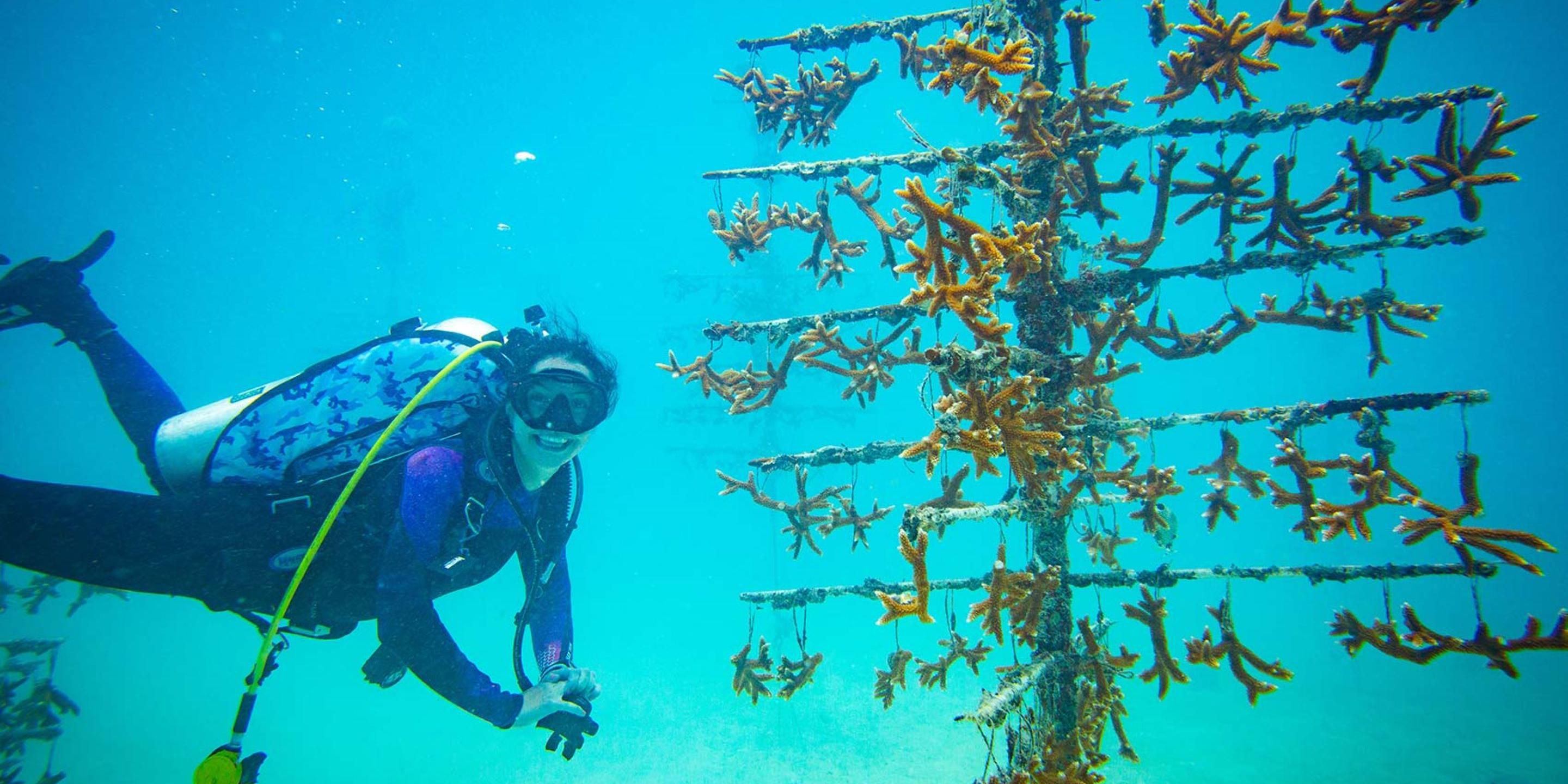 We’ve teamed up with University of Miami’s Benthic Ecology & Coral Restoration Lab to assist in rebuilding the area’s coral reef population. Available exclusively from our hotel, the half-day outing on Key Biscayne includes a private charter to our adopted Angler’s Reef site which we work in partnership with UM to propagate & maintain.