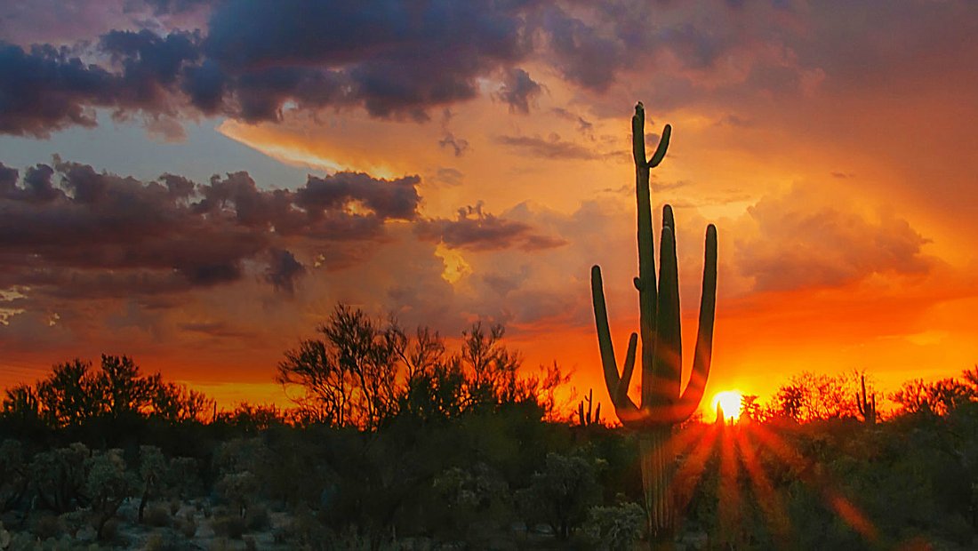 沙漠中火一般的日落美景，壮美的天空与仙人掌剪影