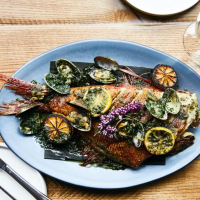 King Tide Fish & Shell