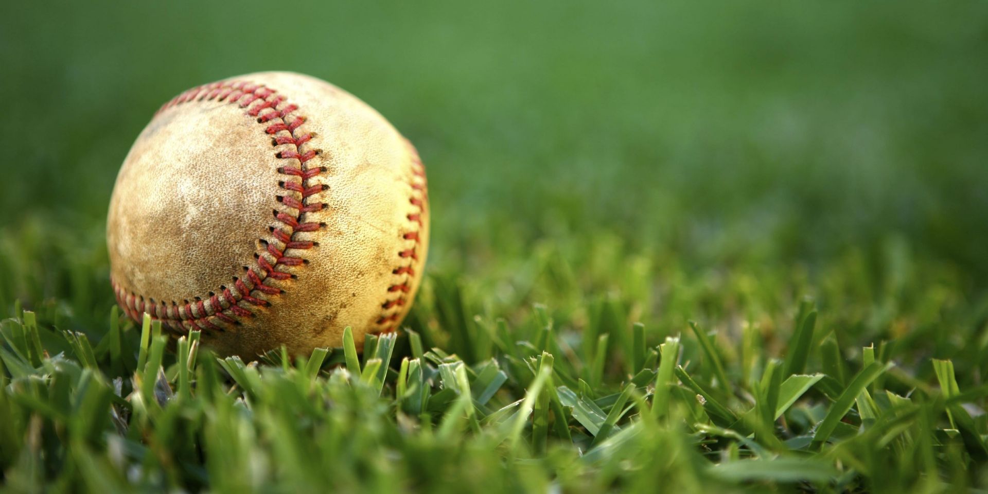 草坪上的棒球
