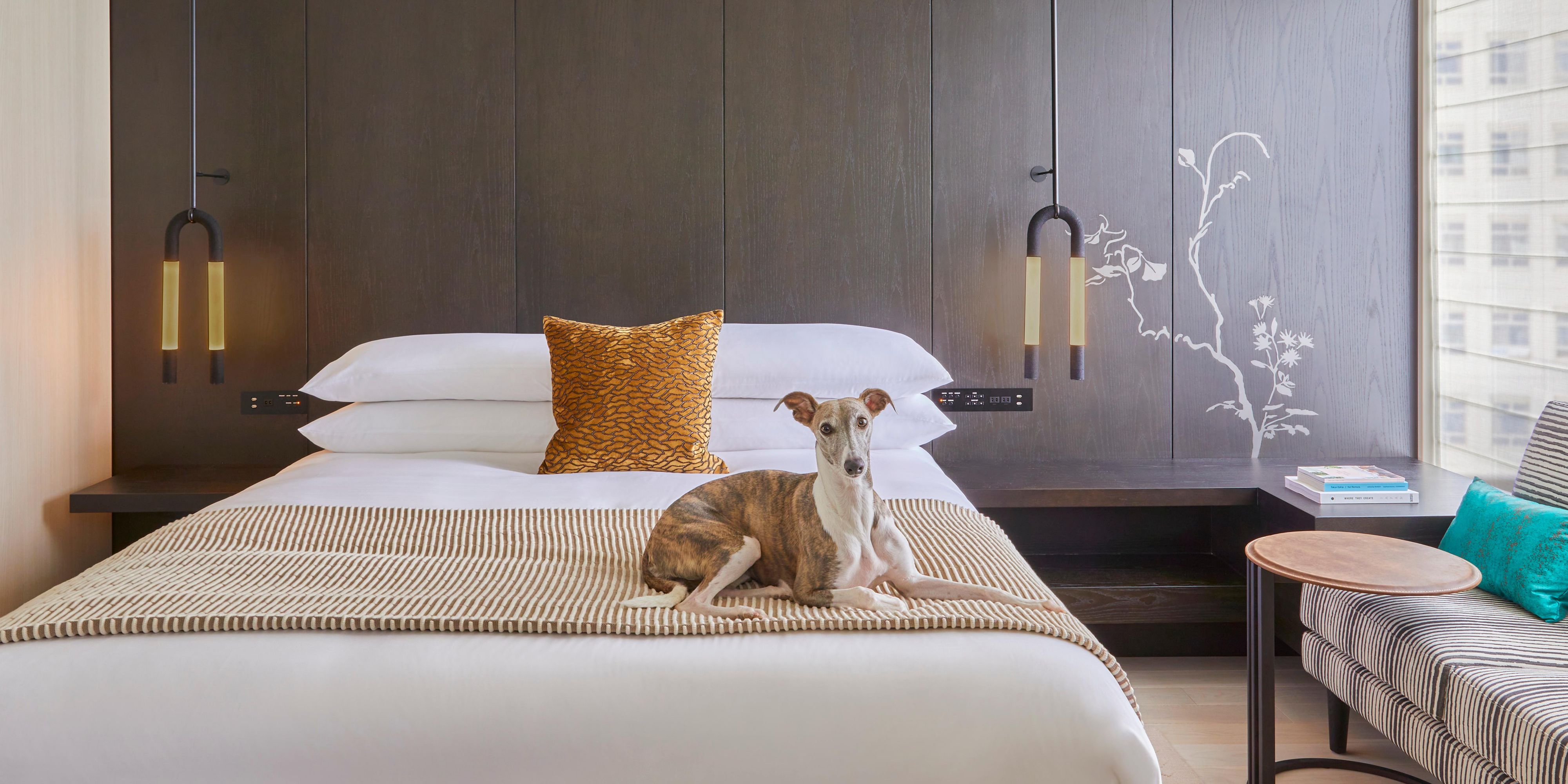 Welcome to Kimpton Shinjuku Tokyo, where your pets are VIPs (Very Important Pets). We’ve got an array of amenities to make them feel right at home. Enjoy a meal together at our pet-friendly restaurants—because good times are better shared. Come experience the perfect mix of luxury and fun where every guest, furry or not, gets the royal treatment.