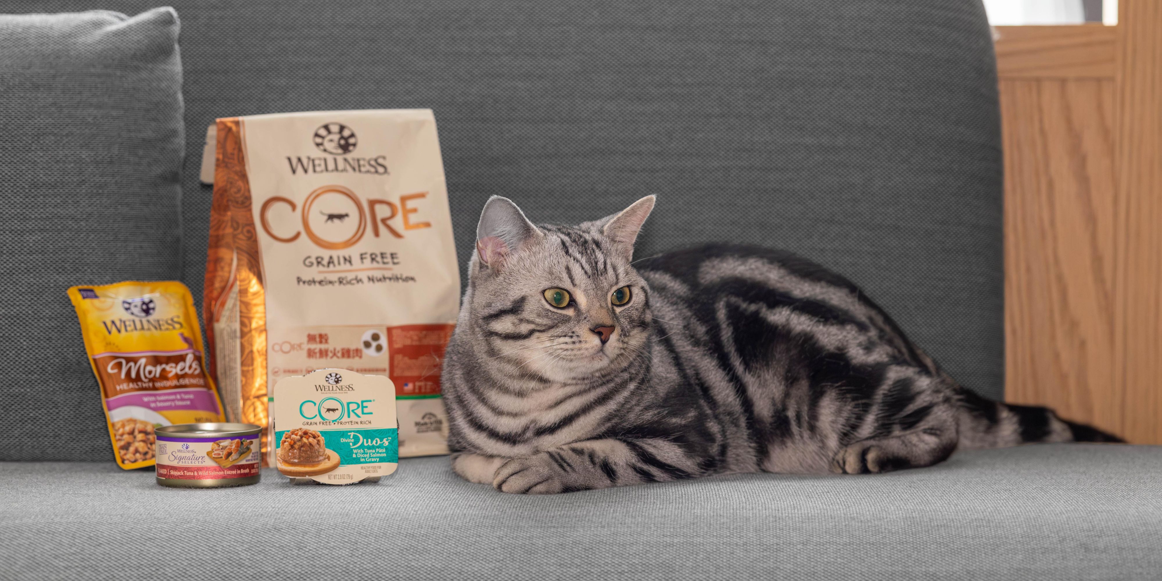 OK, we admit it. We have an animal attraction. Can you blame us? At every Kimpton boutique hotel, we invite you to bring your furry, feathery or scaly family member — no matter their size, weight, or breed, all at no extra charge. If your pet fits through the door, we’ll welcome them in.