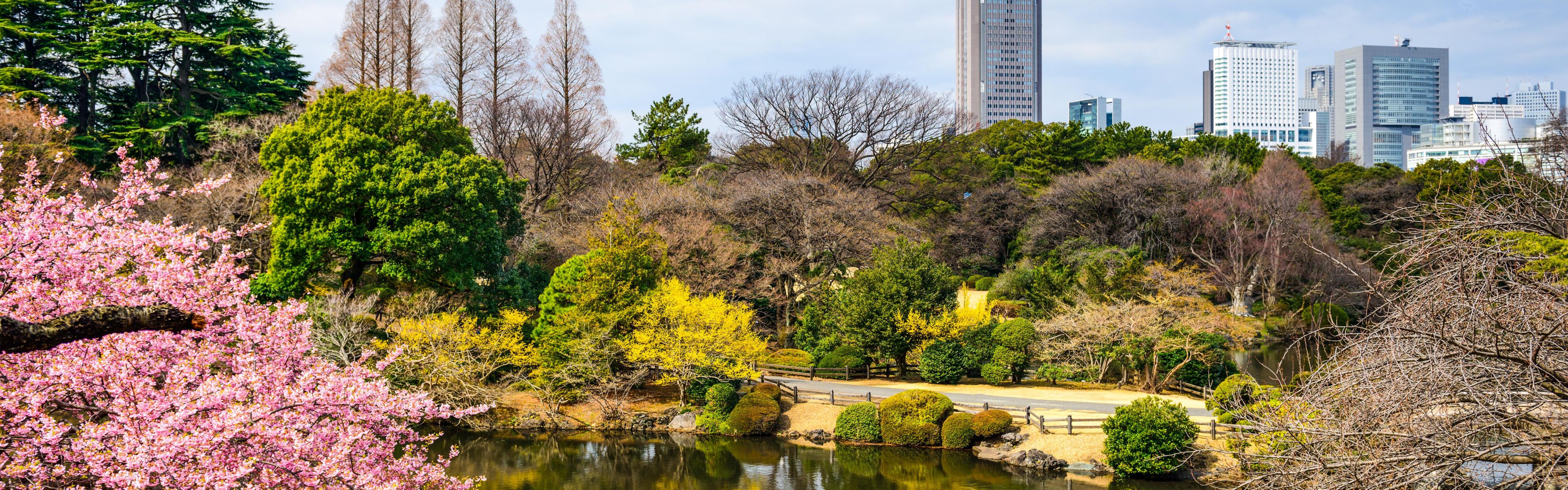 Shinjuku Gyoen