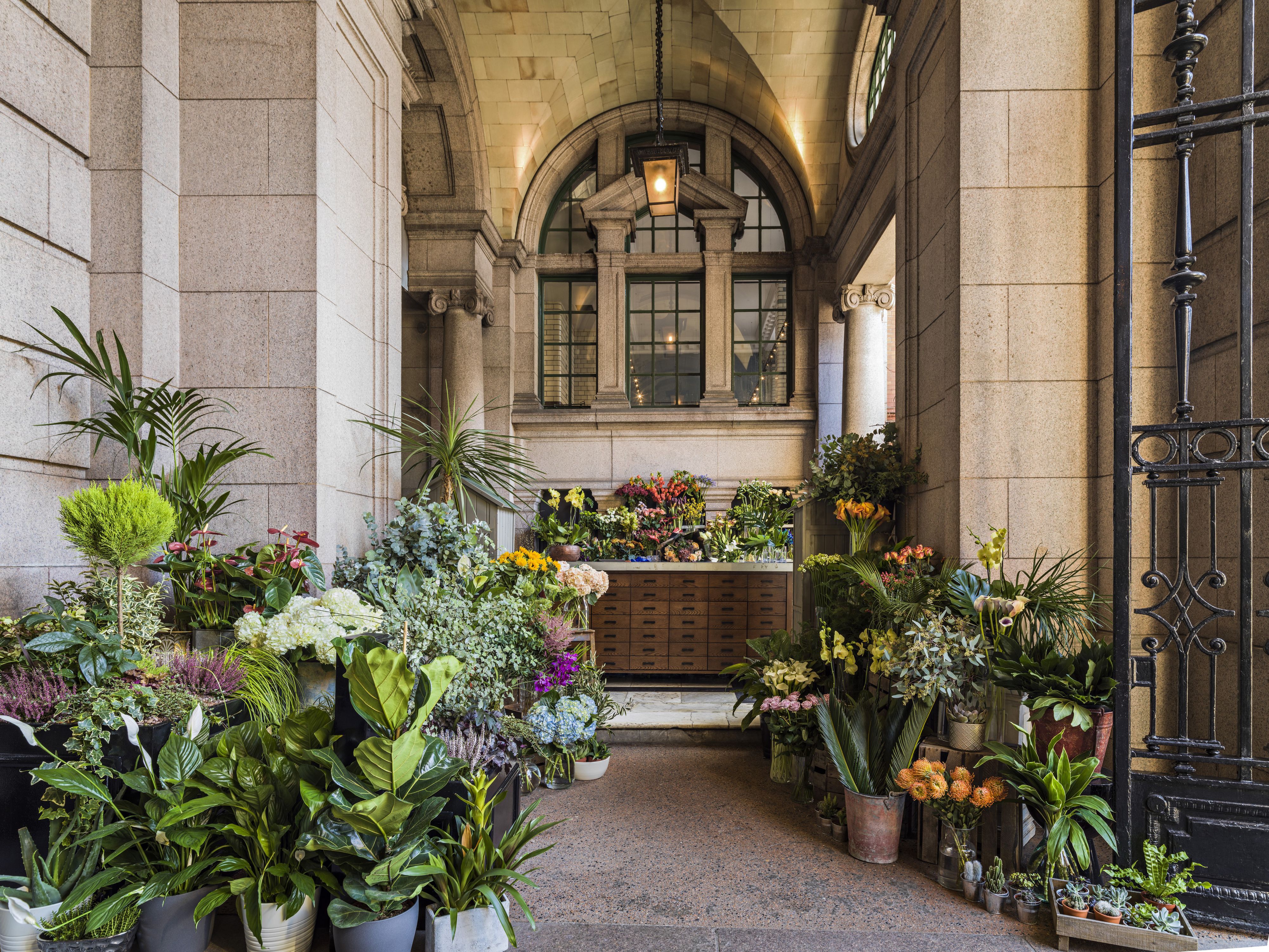 Entryway with plenty of greenery