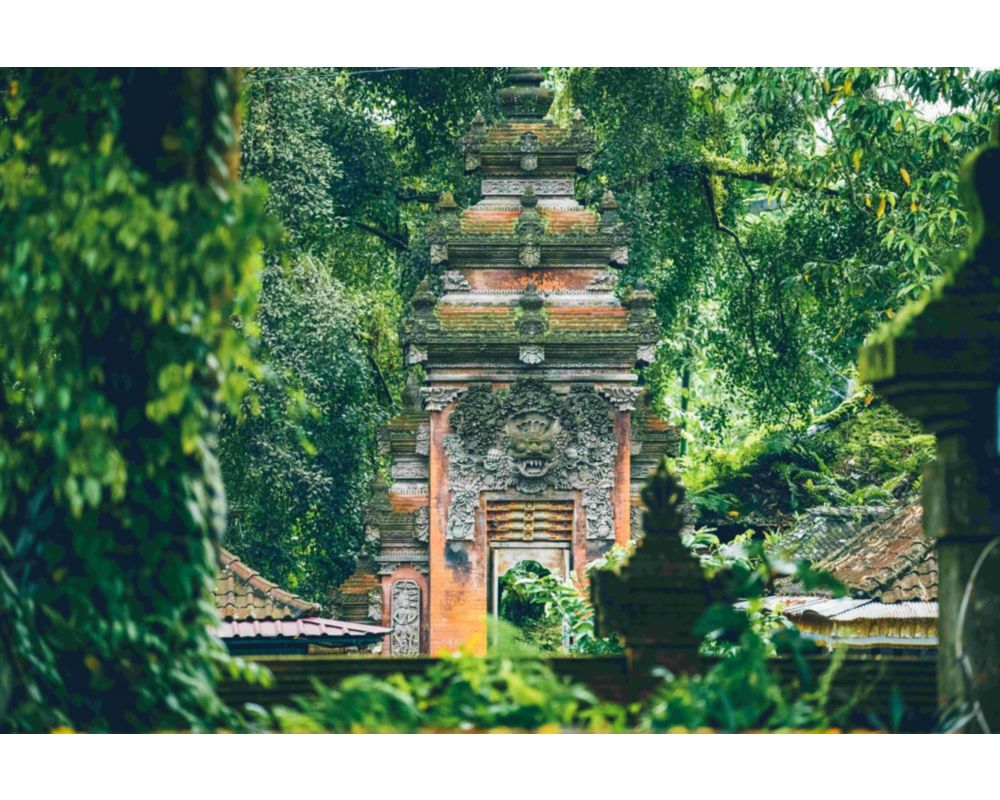Local architecture surrounded by lush greenery