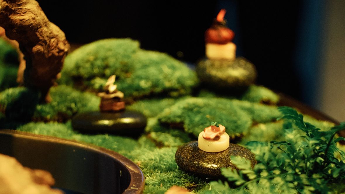 摆放绿植的艺术餐桌，特殊美味佳肴