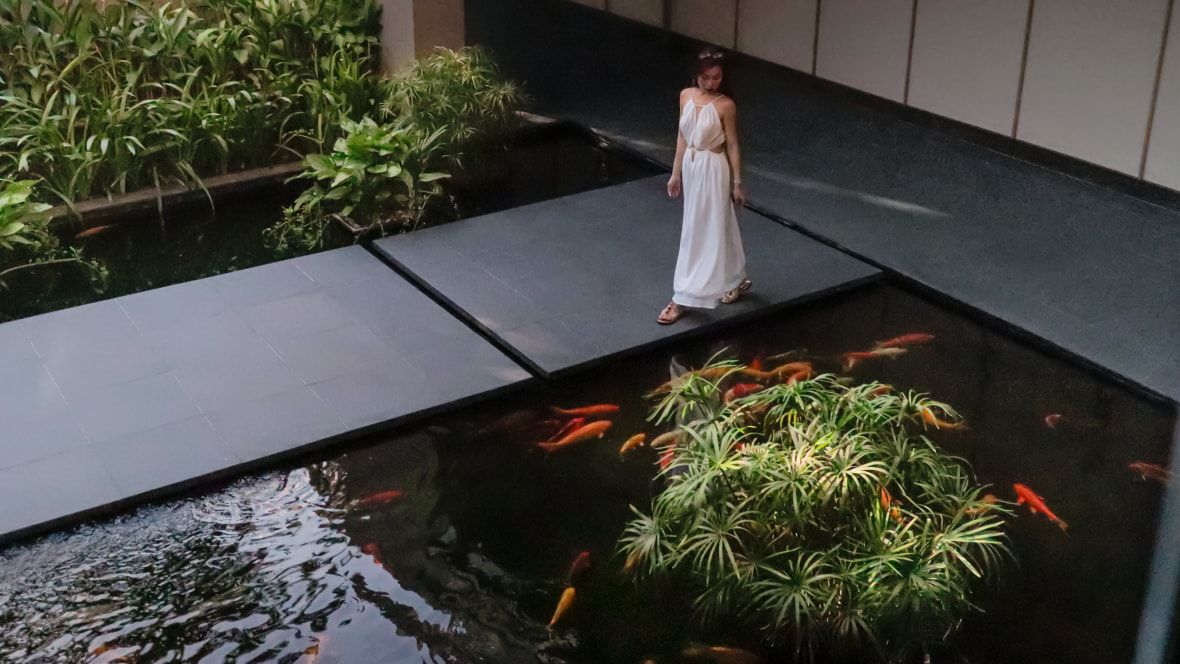 woman walking on pathway along water feature with coi
