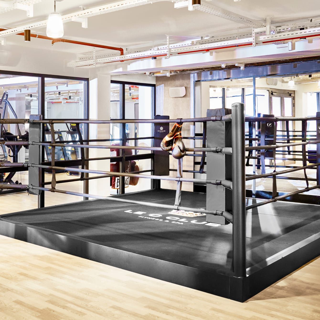 Boxing ring in a modern, well-lit gym with gloves on the ropes.