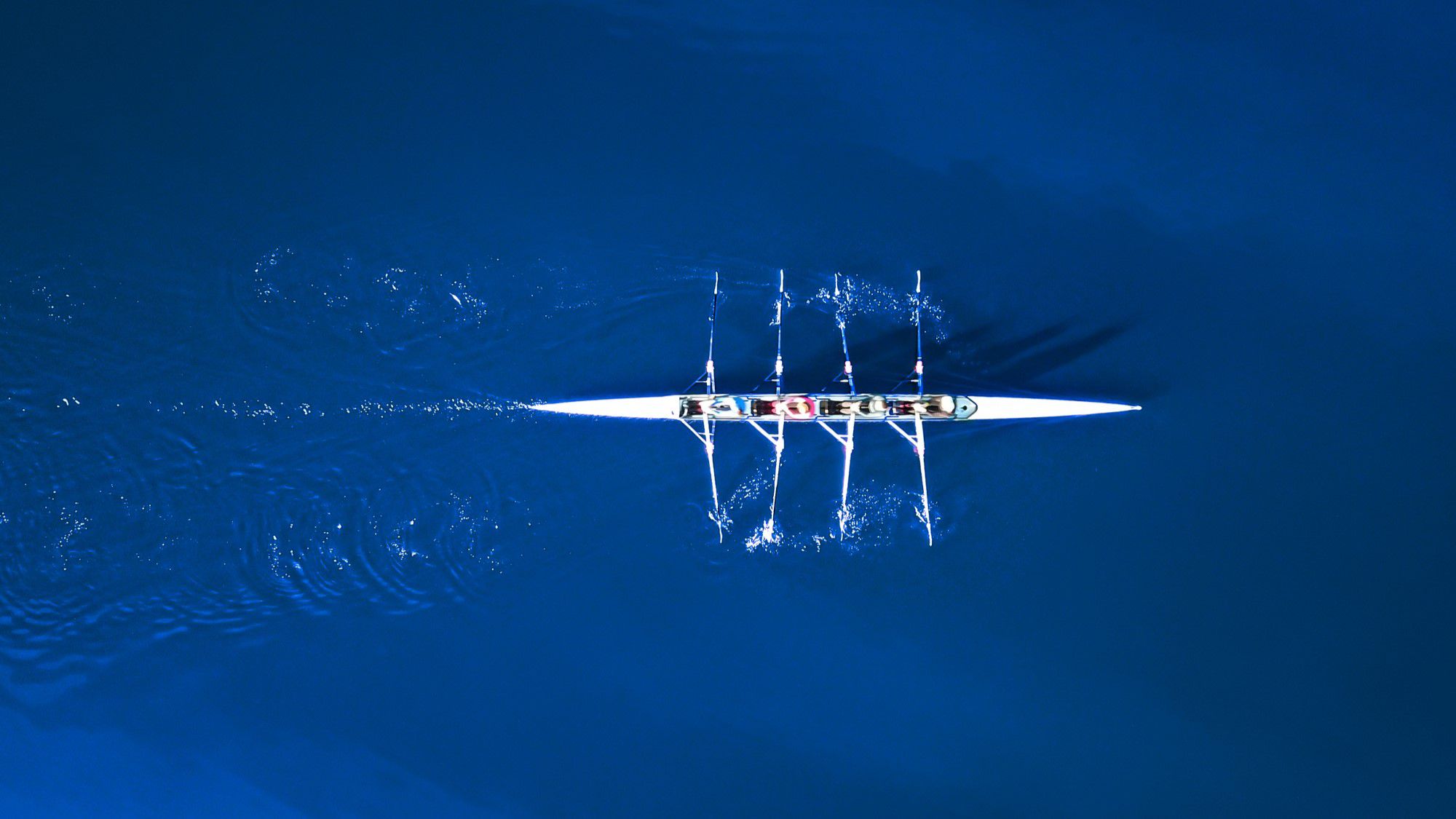 A rowing team at work on the water