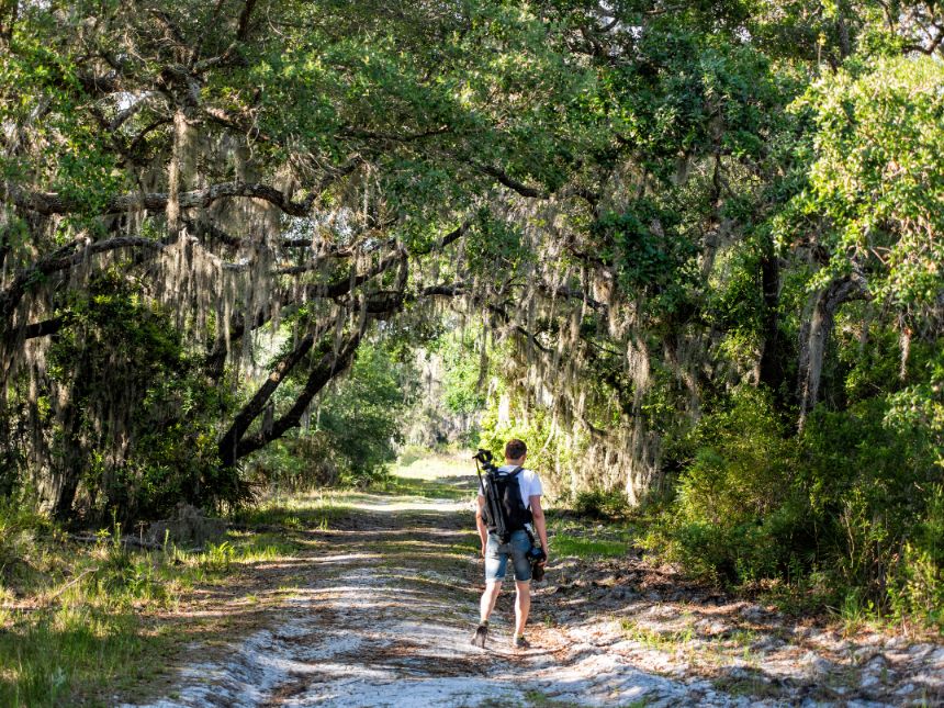 Myakka River State Park