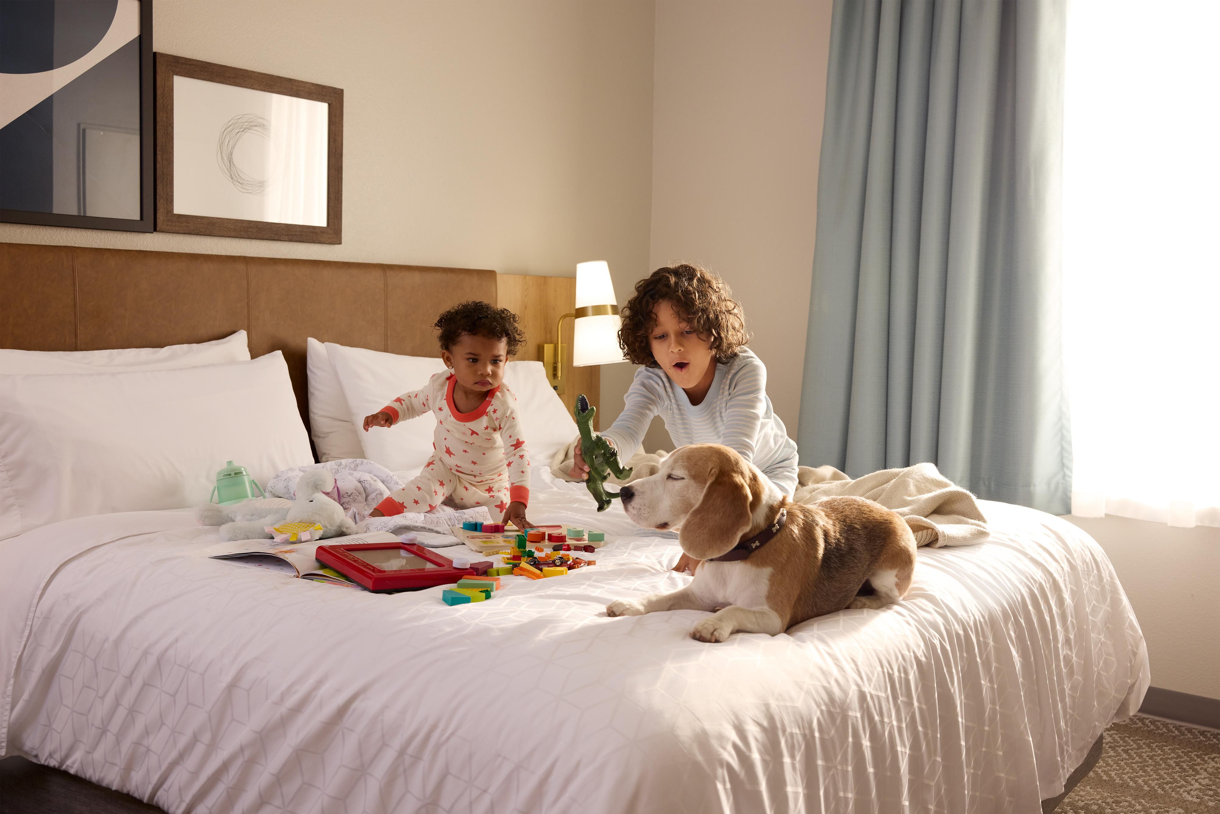 Experience pet-friendly comfort at our Mt. Juliet Nashville hotel. We welcome your furry companions with open arms, ensuring a seamless stay for both you and your pet. Book our pet package and enjoy 50% off your pet fee for a tail-wagging getaway.