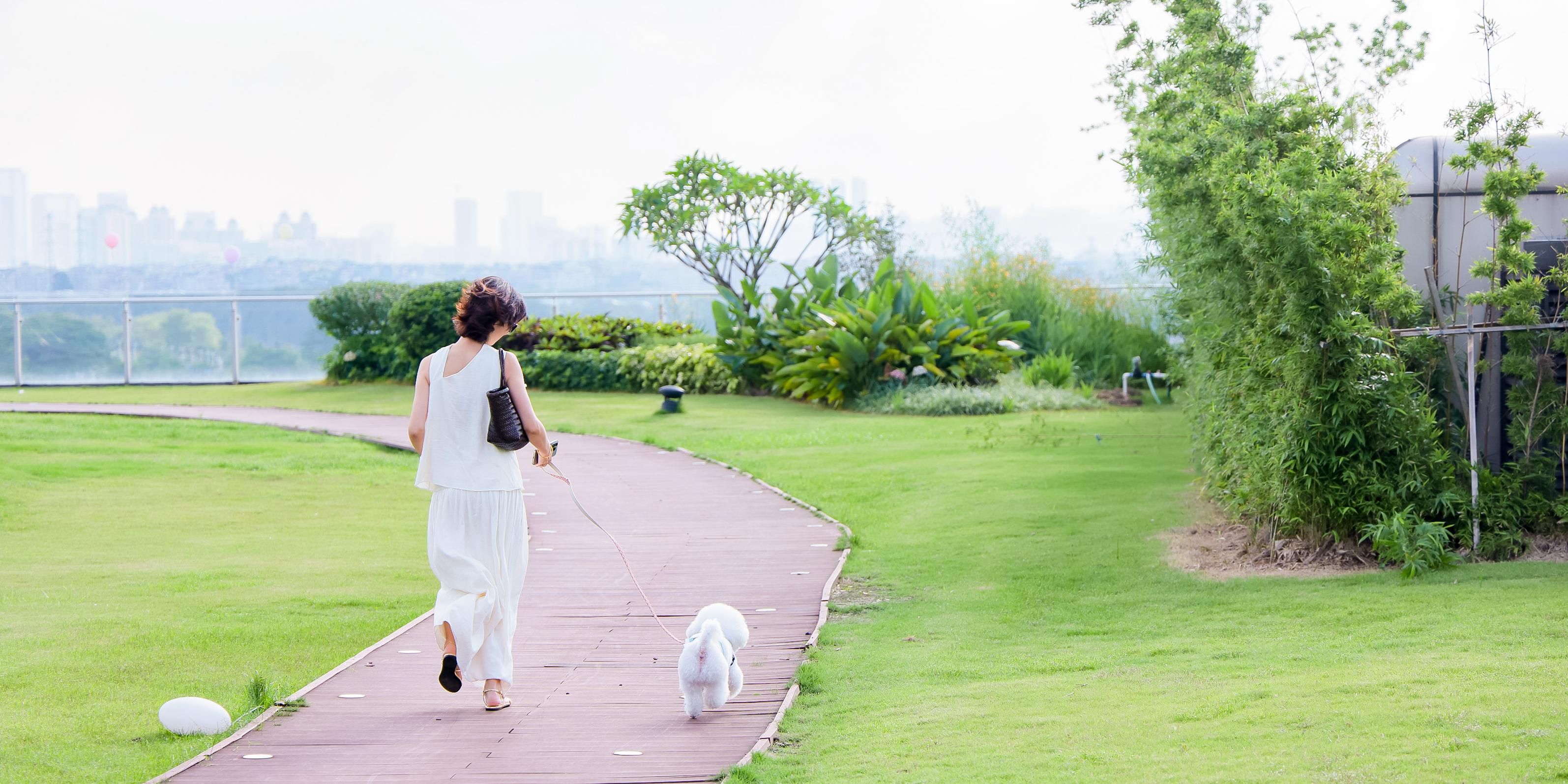 酒店大堂户外吧等地不仅可以向宠物们开放，每月更会在露营区域组织一次特别的宠物聚会，打造专属的宠物菜单和欢迎蛋糕。来一场周末城中度假，尽情享受萌宠与家人的陪伴。