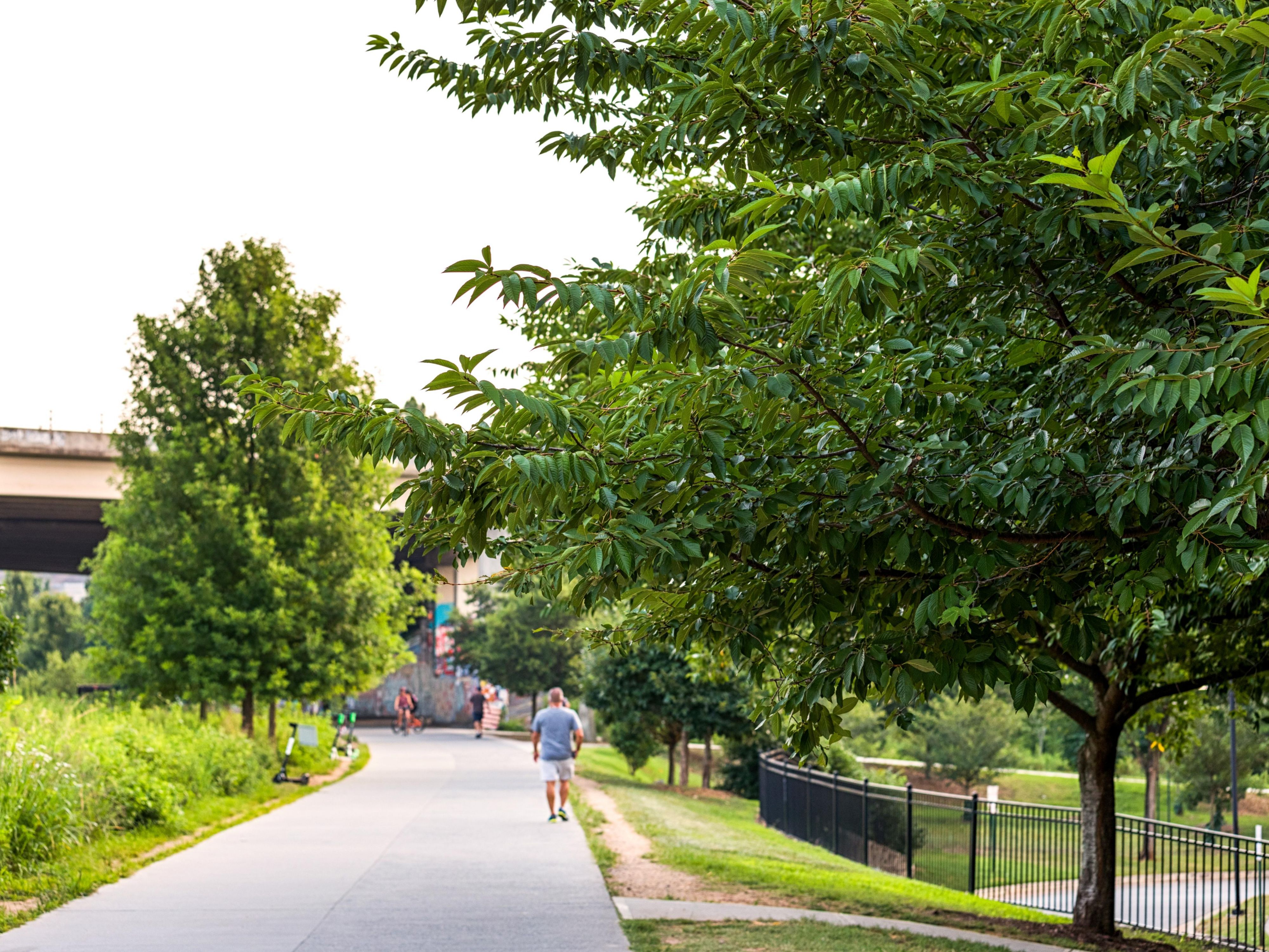 Head out on the town like a local when you stay at our Atlanta, GA, hotel. Ponce City Market sits a convenient half-mile walk from our location, with the Atlanta Beltline just steps away. Piedmont Park awaits nearby, offering an additional couple miles of urban exploration. 