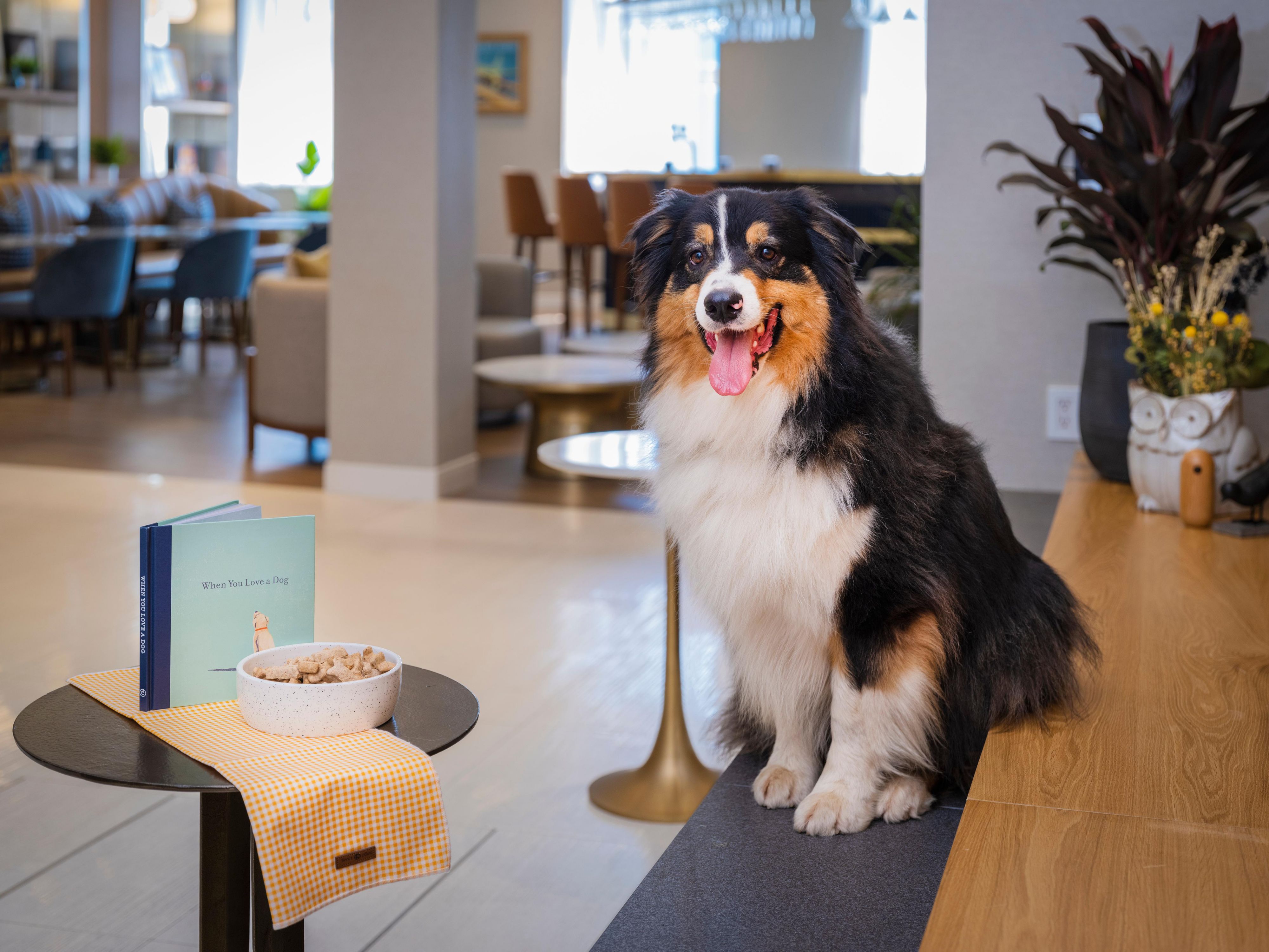 Bring your pet along for tail-wagging fun at our pet-friendly LaGuardia hotel. Inform us in advance about your canine companion, and we’ll ensure a comfortable stay for you and your beloved furry friend. We charge a one-time cleaning fee for each pet to maintain a pristine environment.