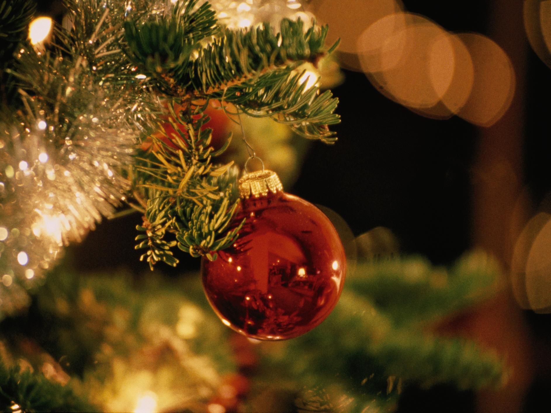 Make your posada a memorable event at voco Guadalajara! We invite you to celebrate with us in a festive and welcoming atmosphere. Inquire about our available options and plan a unique celebration for your team or loved ones. 
We look forward to hosting you!