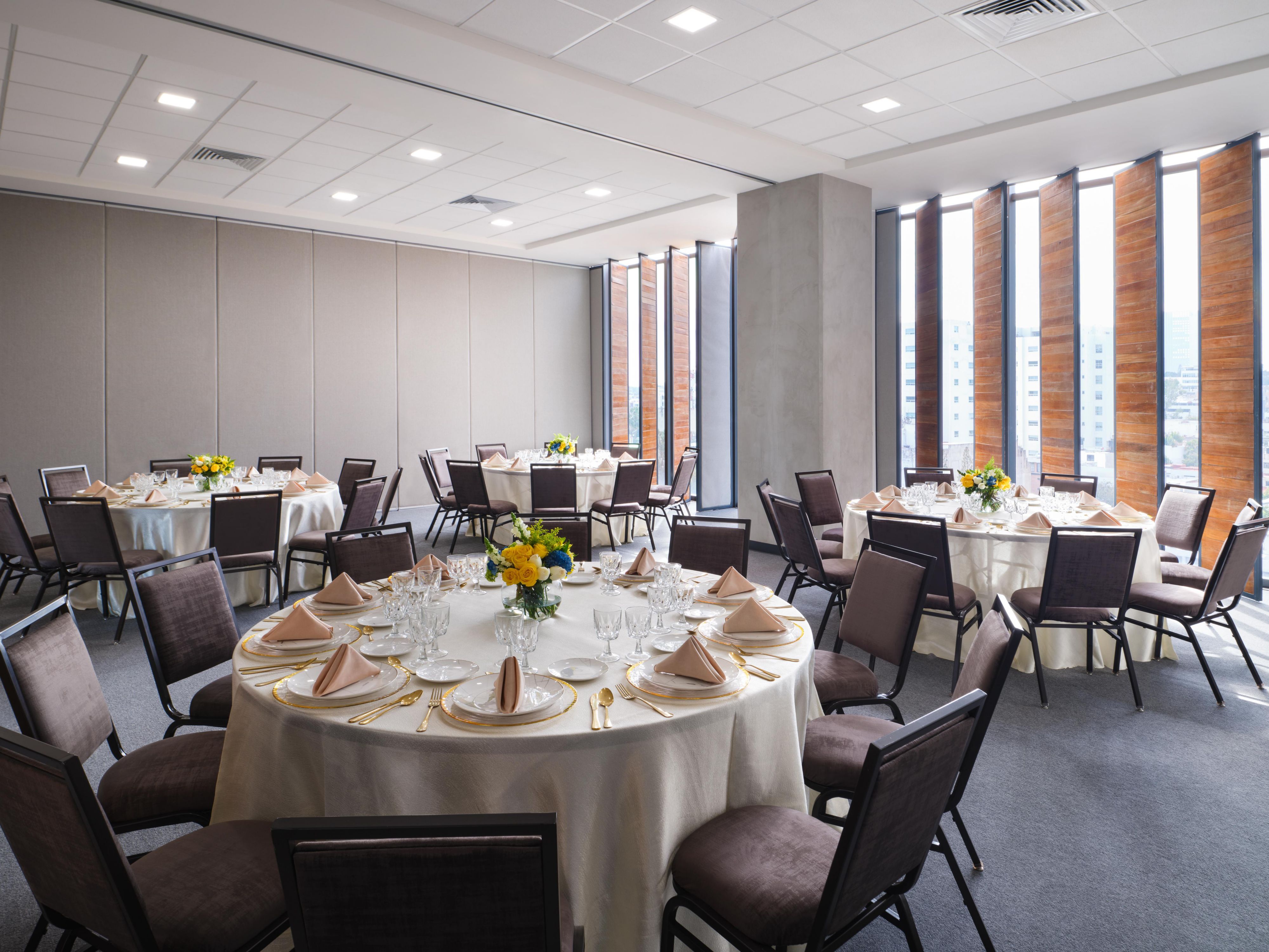 Our Guadalajara Financial District hotel features six meeting spaces and a theater-style auditorium for up to 200 guests. Host conferences, business meetings, events, weddings, reunions, and celebrations in our sleek event salons. Enjoy parties, receptions, and networking events on our 12th-floor rooftop terrace with sweeping city views.