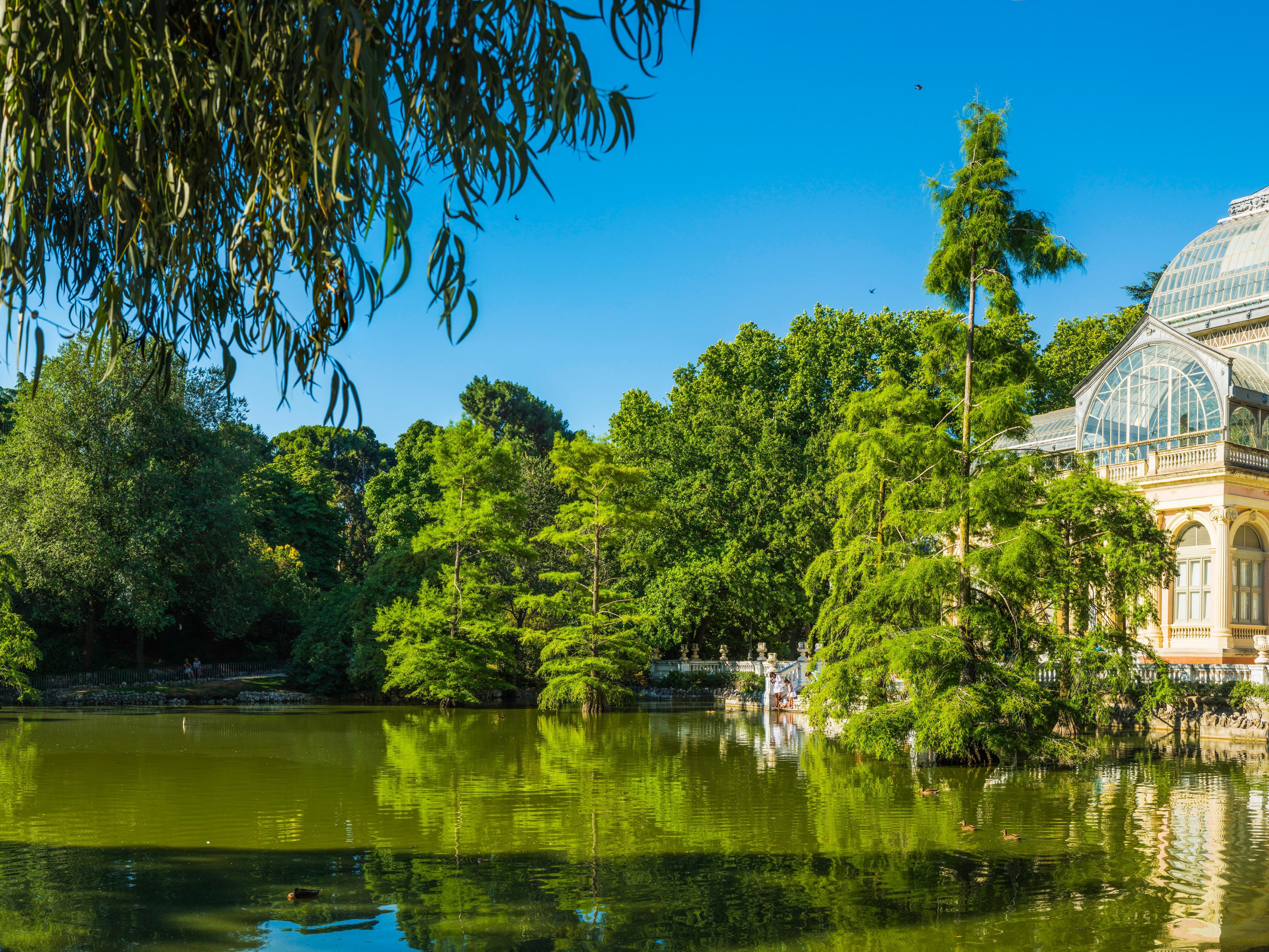 Embrace tranquillity in our ideally located hotel, nestled in a quiet, residential area adjacent to Retiro Park. This location offers guests a peaceful haven away from the hustle and bustle yet is conveniently close to Madrid's vibrant cultural and historical landmarks. Enjoy easy access to serene nature and urban excitement.