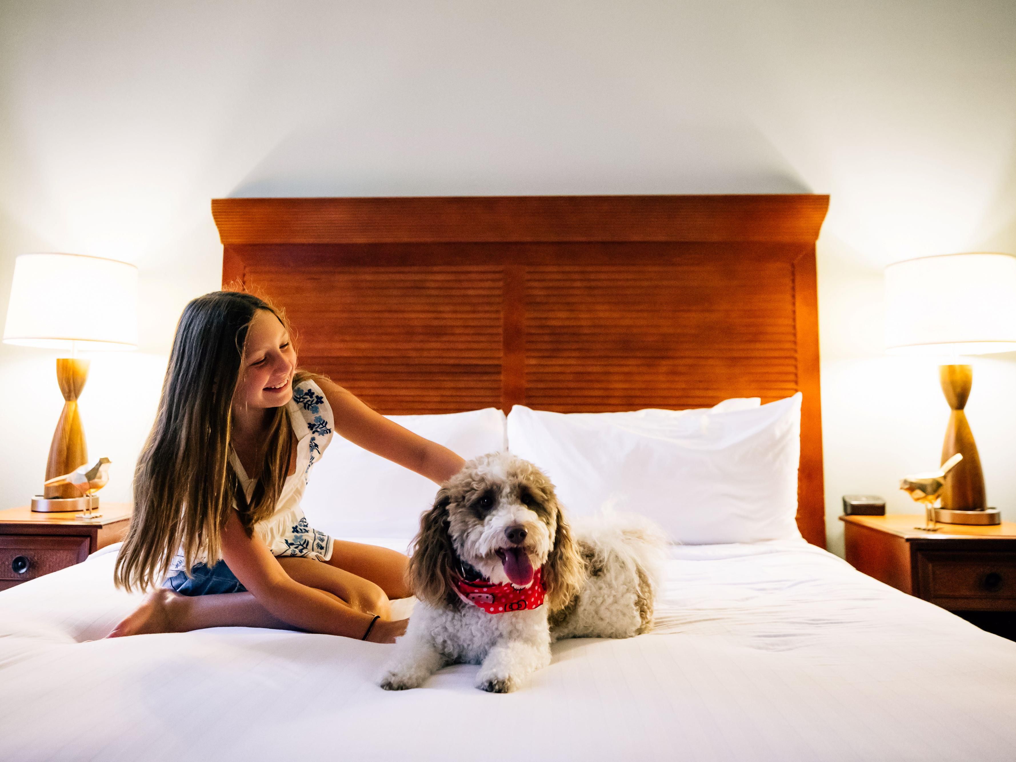 We welcome you and your four-legged canine friend to enjoy a tail-wagging good time in New Orleans! Our pet-friendly hotel offers everything you and your dog need for a relaxing stay. Plus, our team is happy to share the best areas to explore with your furry friend, including parks and dog-friendly restaurants.