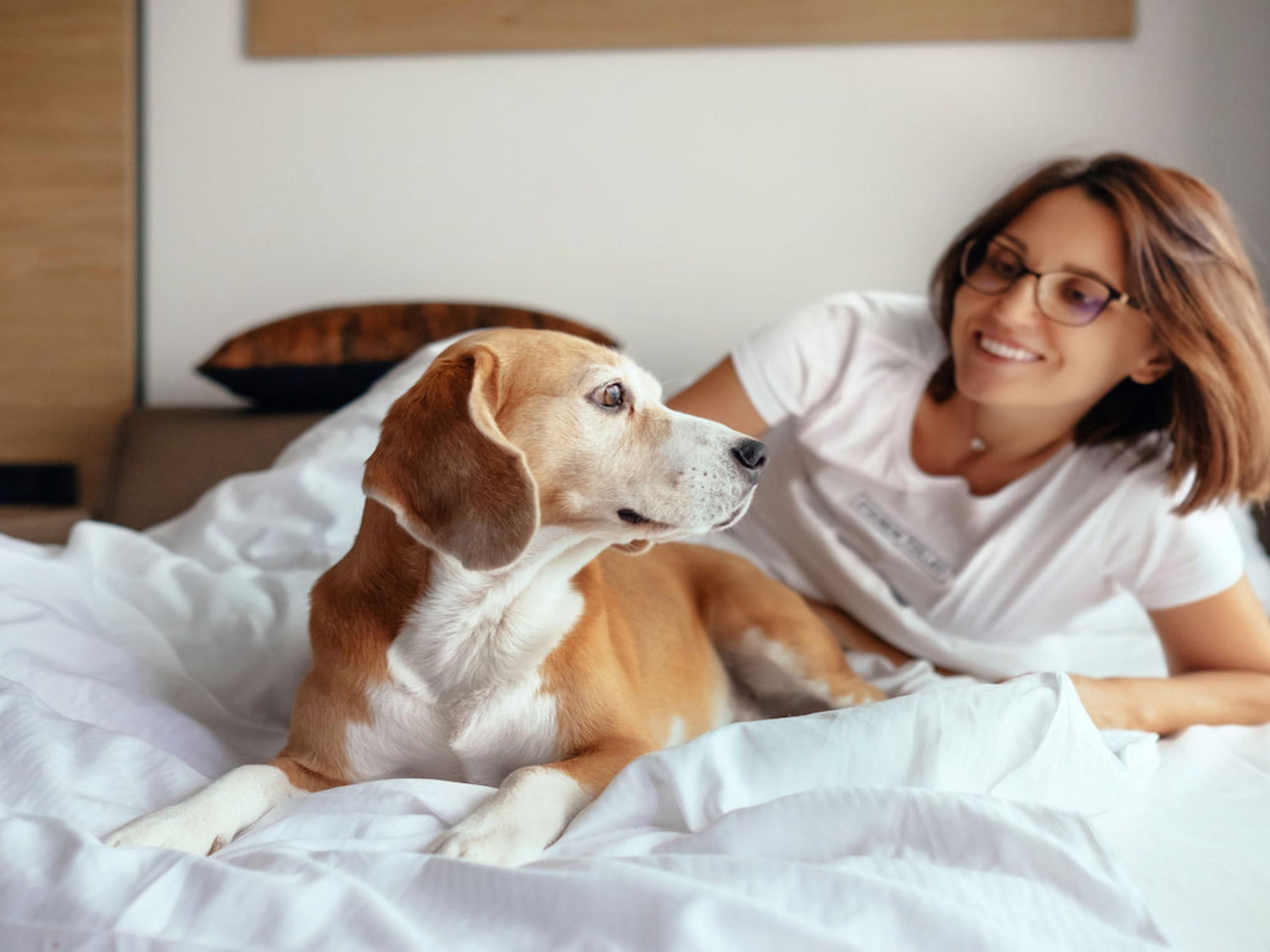 Traveling with pets? voco Times Square South welcomes all pets, including dogs under 35 pounds, ensuring your furry companions enjoy the Midtown experience alongside you in comfort and style.