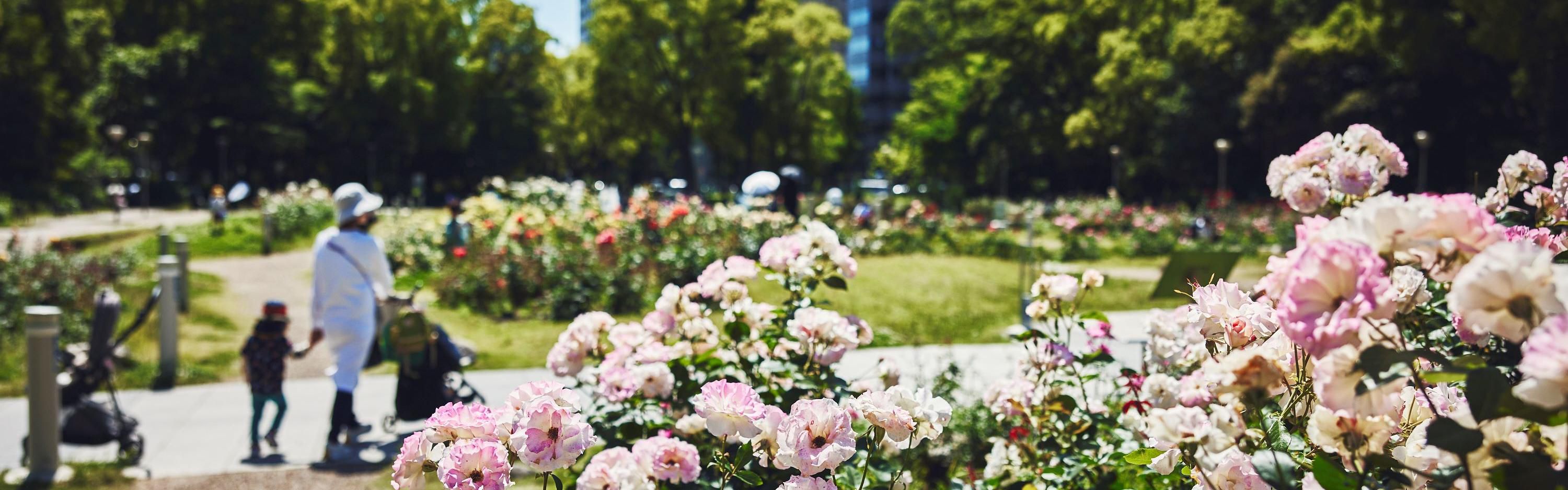 Utsubo Park Rose Garden