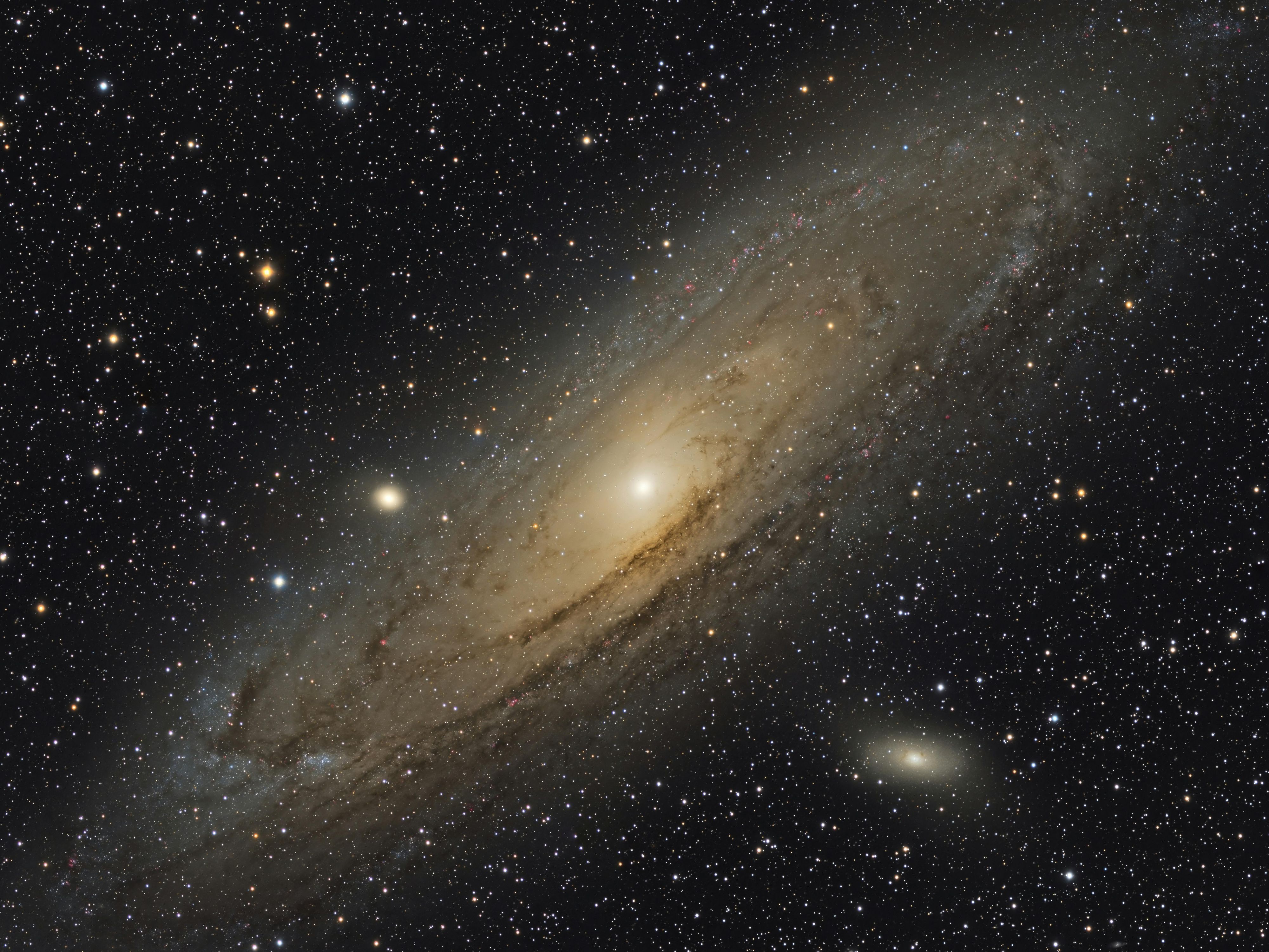 Join our guided sessions as we take you on a celestial journey, unveiling the wonders of twinkling stars, majestic planets, captivating constellations, and so much more. Please reach out to our front desk team to book a session during your stay with us.