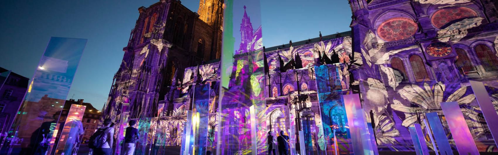 The Wonderful Journey