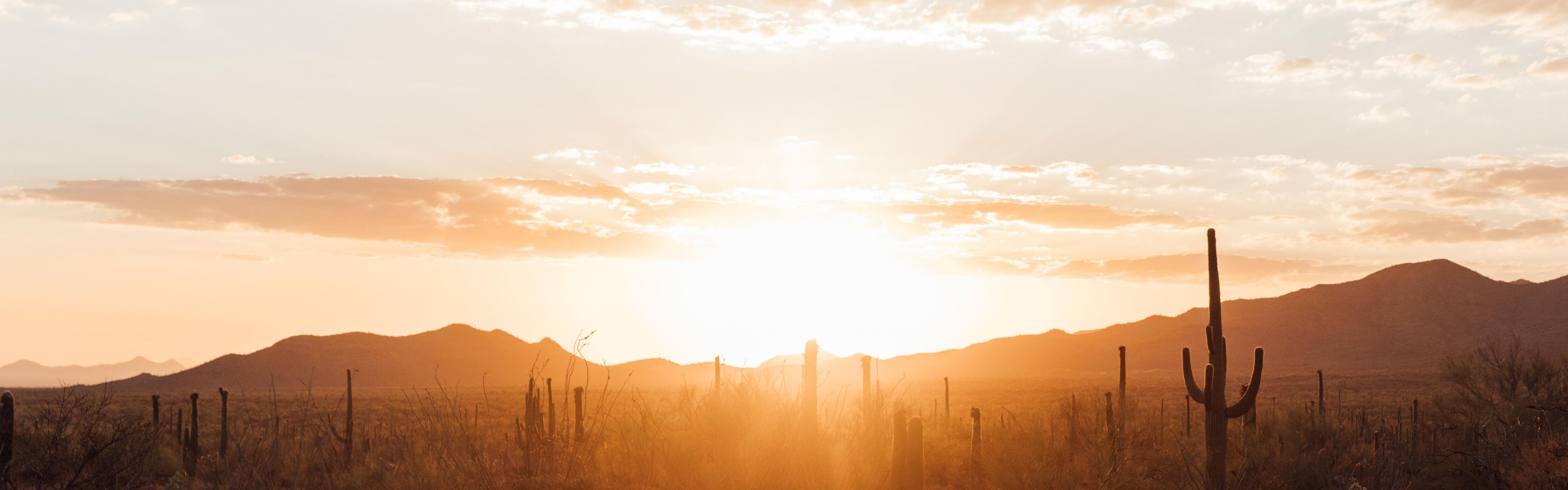 Saguaro National Park